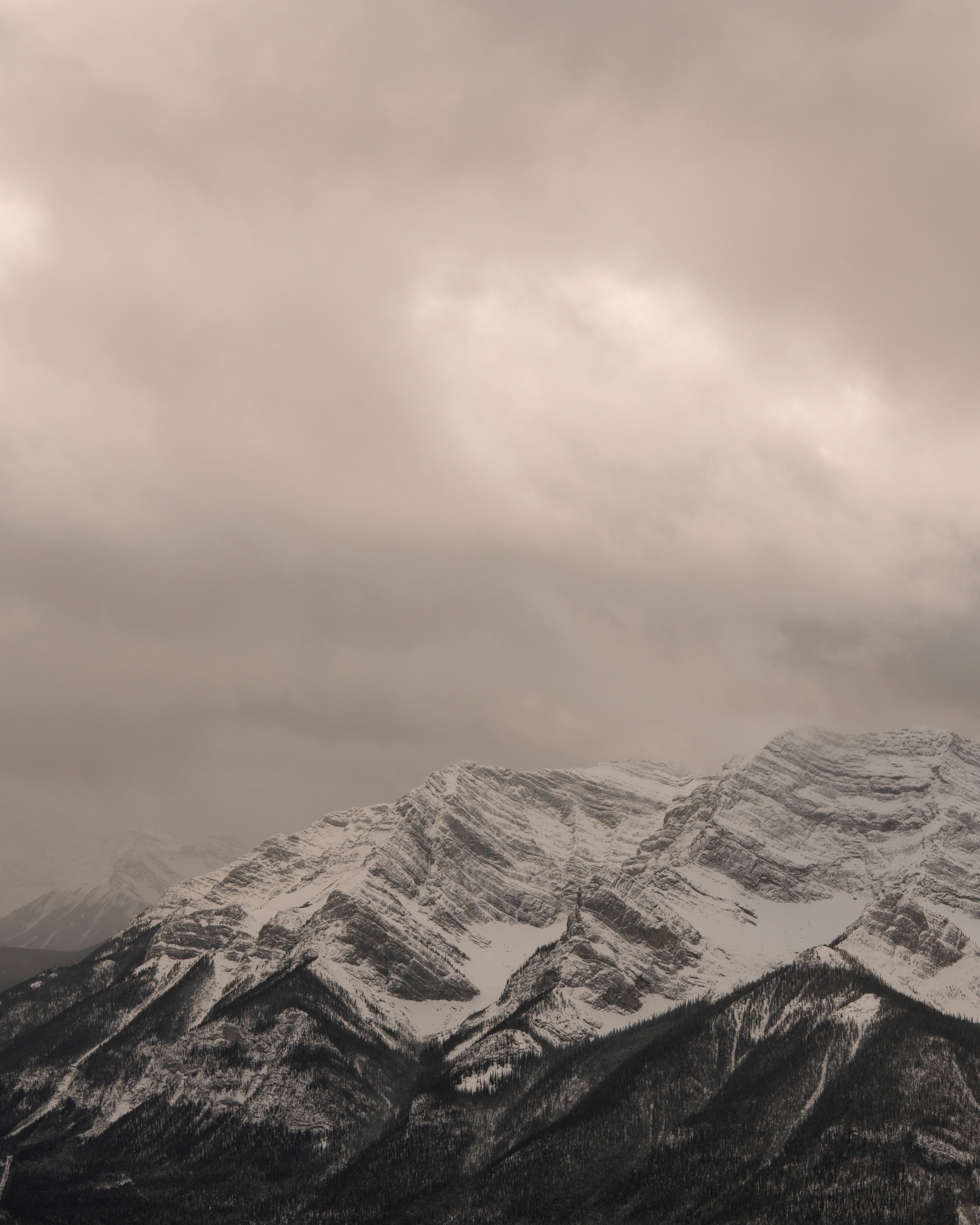 Photo by lukedelguercio