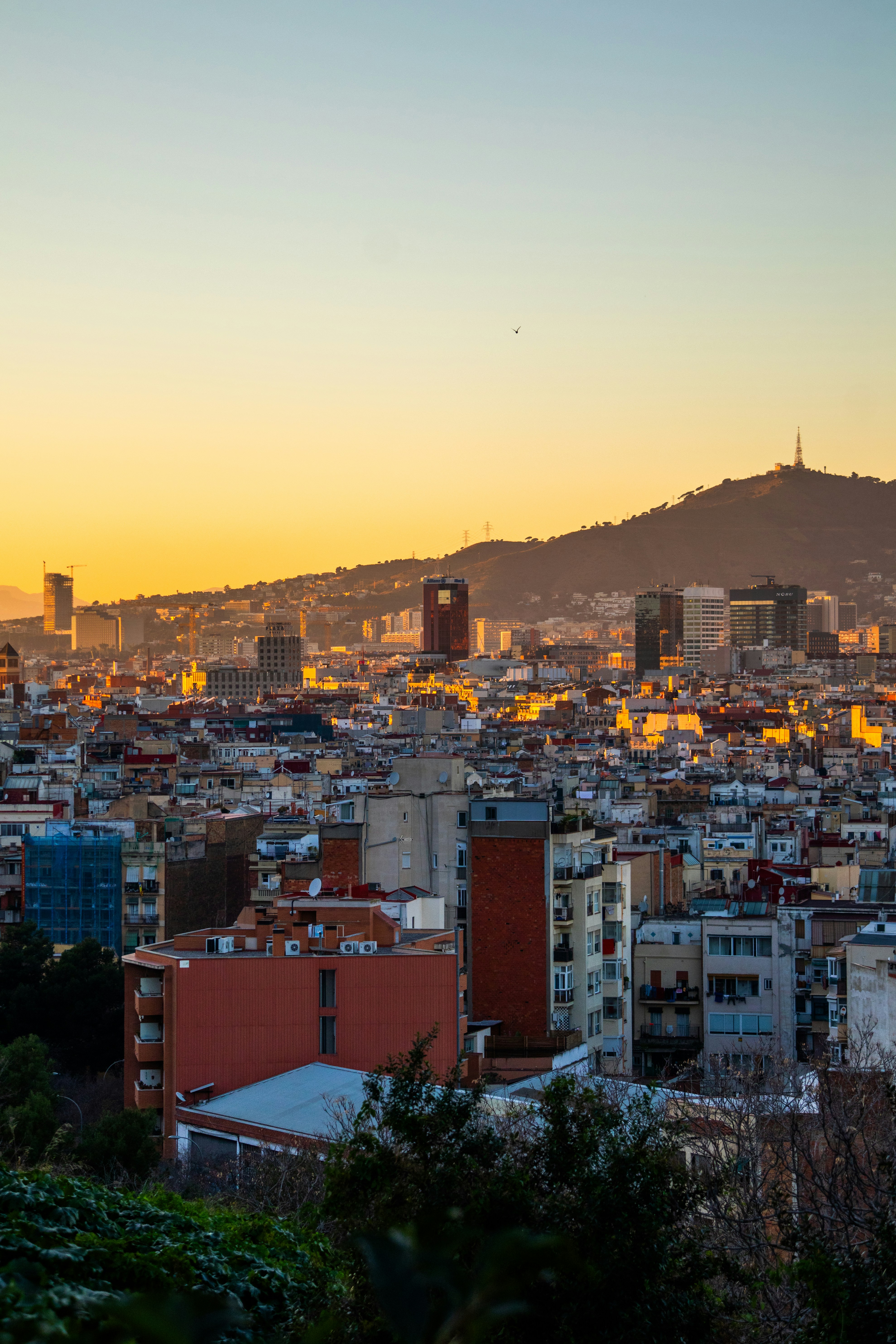 Photo by woomantsing