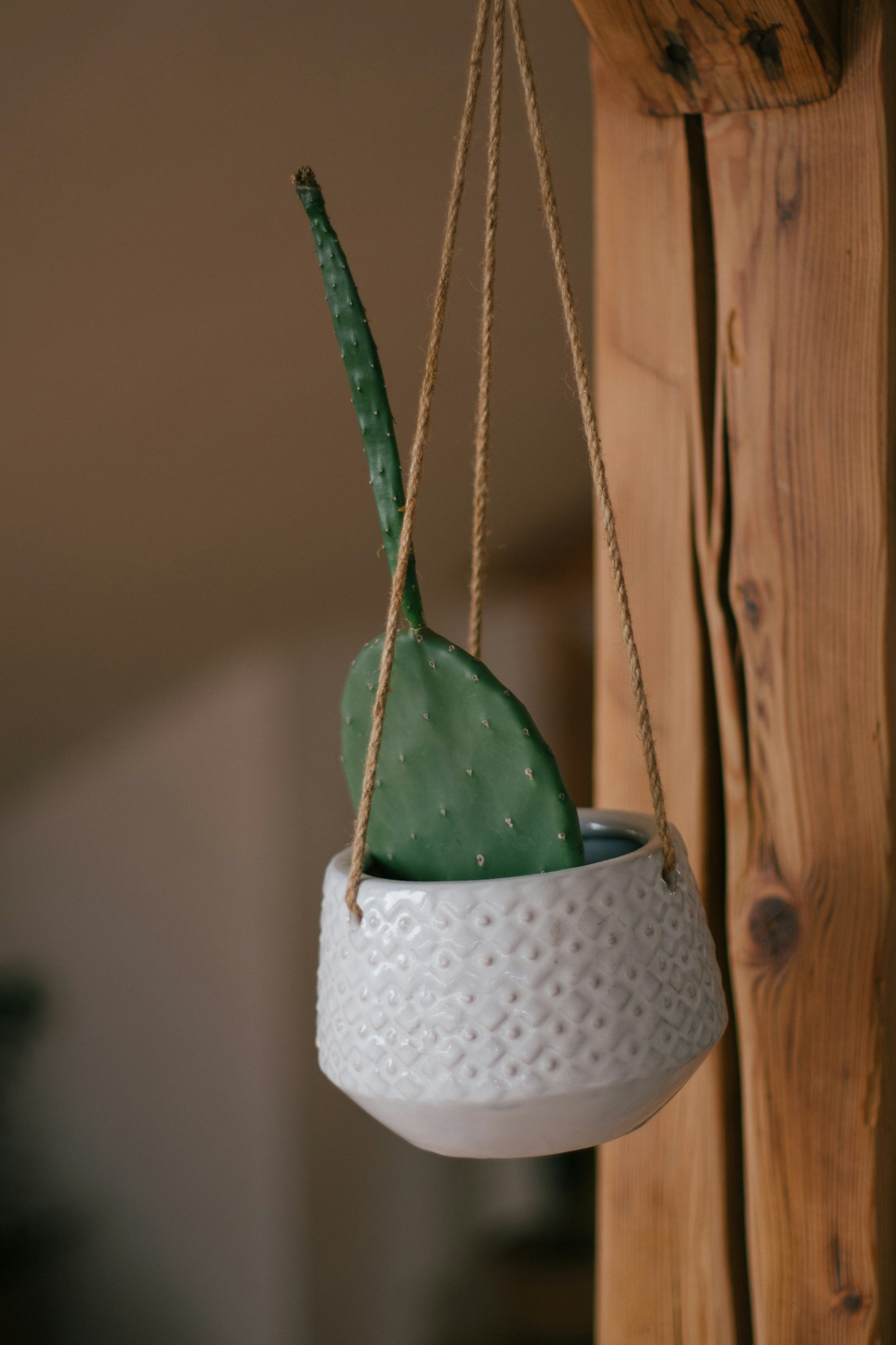 Photo by raymondpetrik