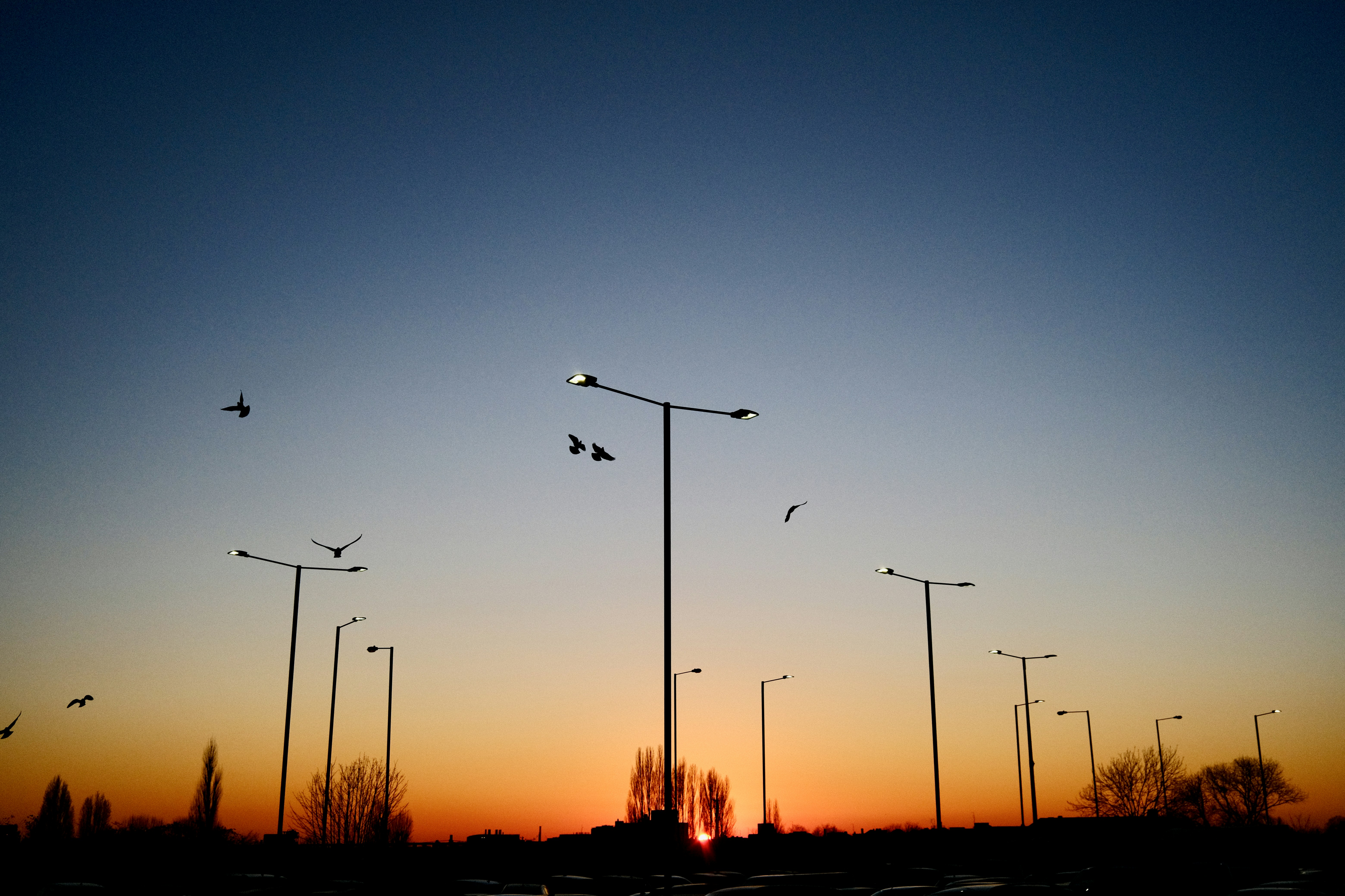 Unsplash photo