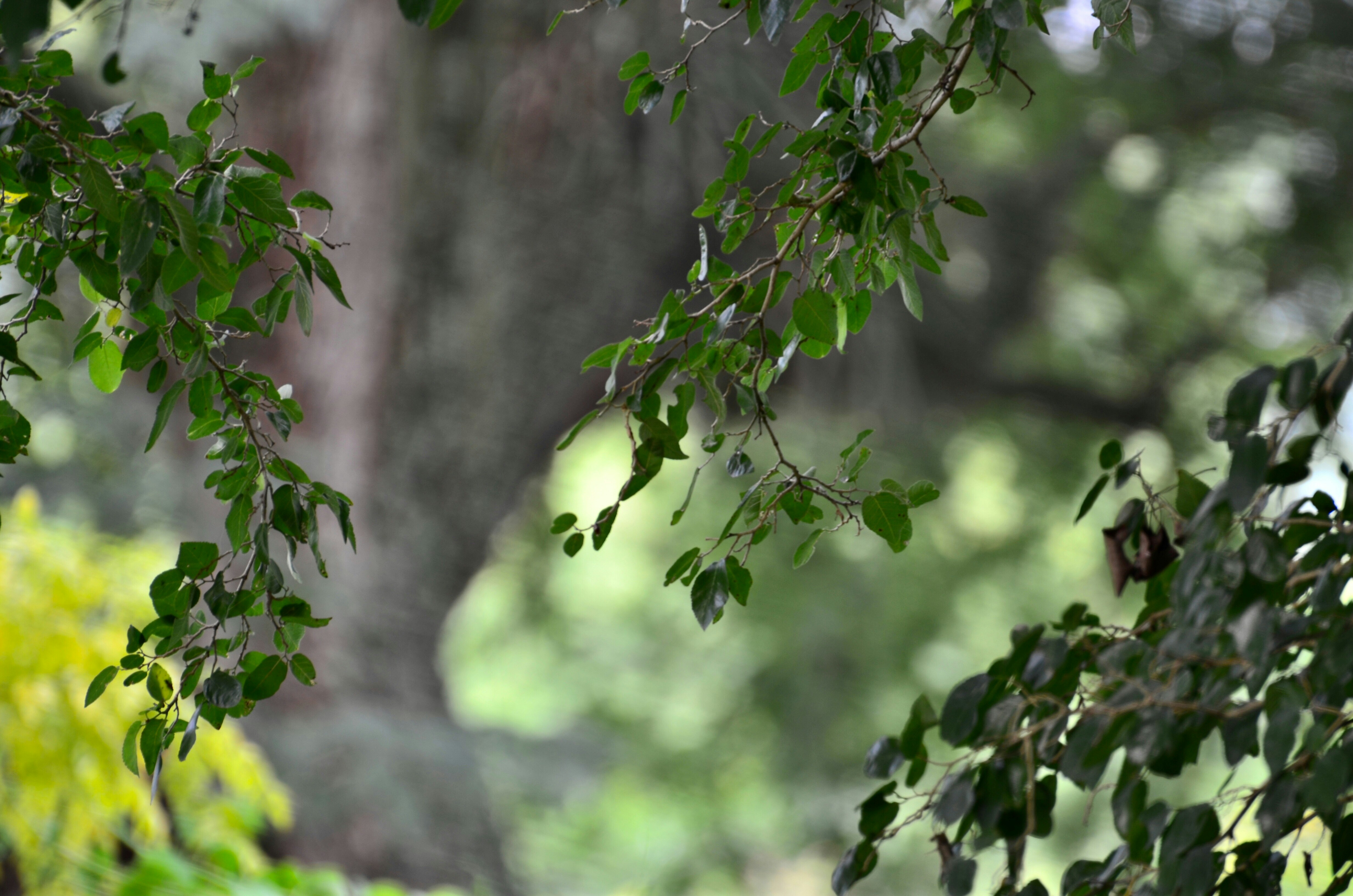 Photo by sunshinestudio82