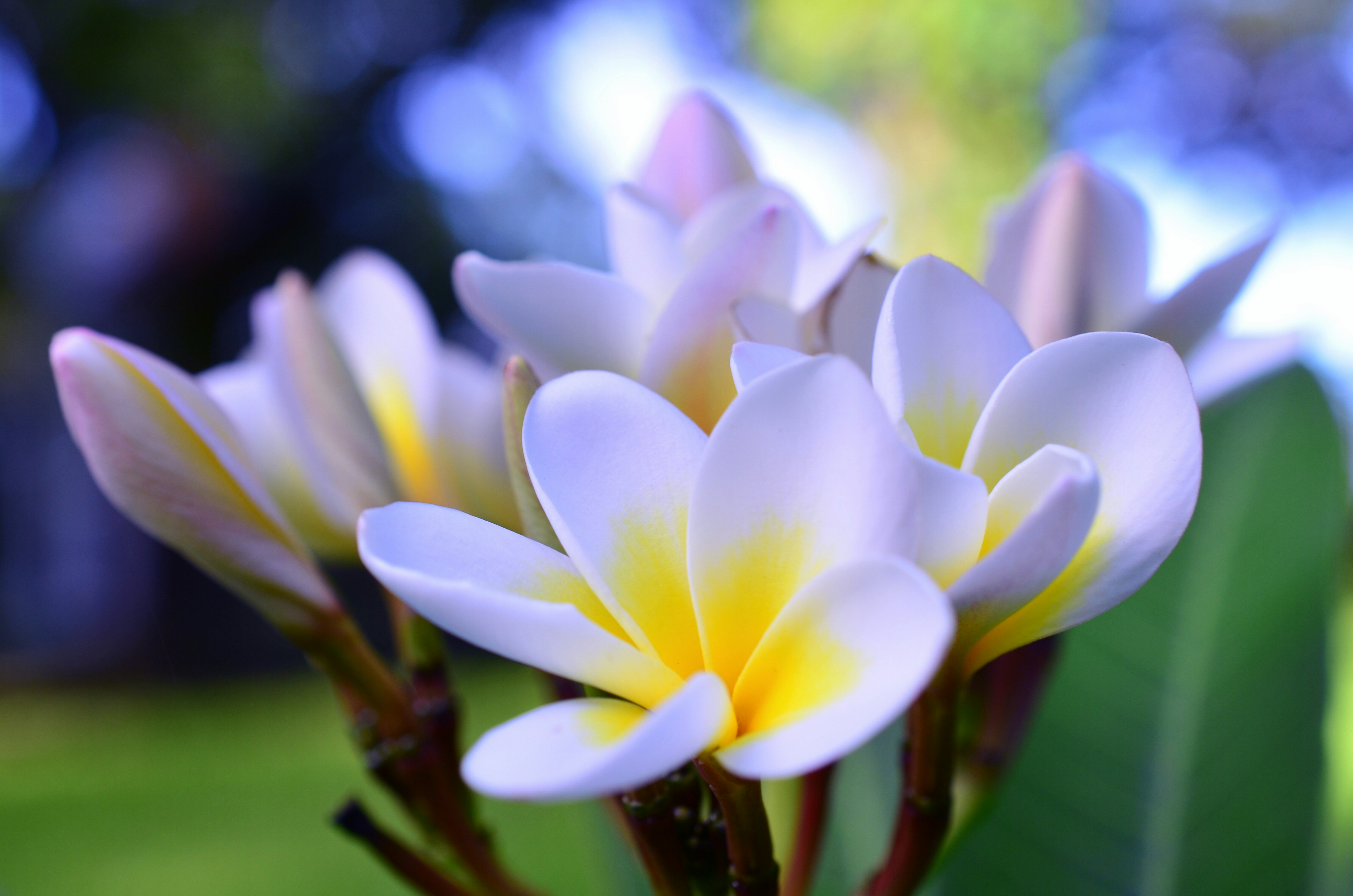 Photo by sunshinestudio82