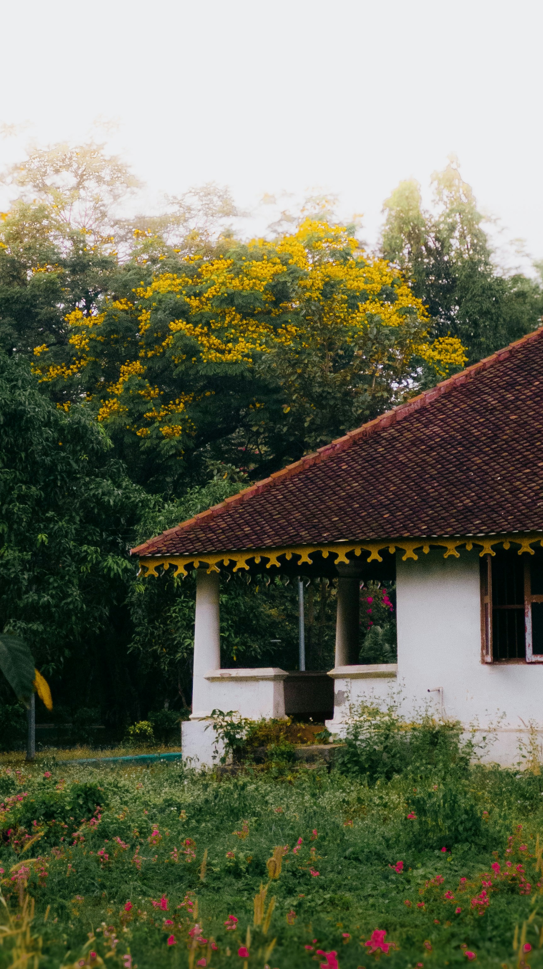 Photo by pocketpixeldiary