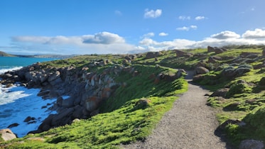 A path leading to the ocean on a sunny day