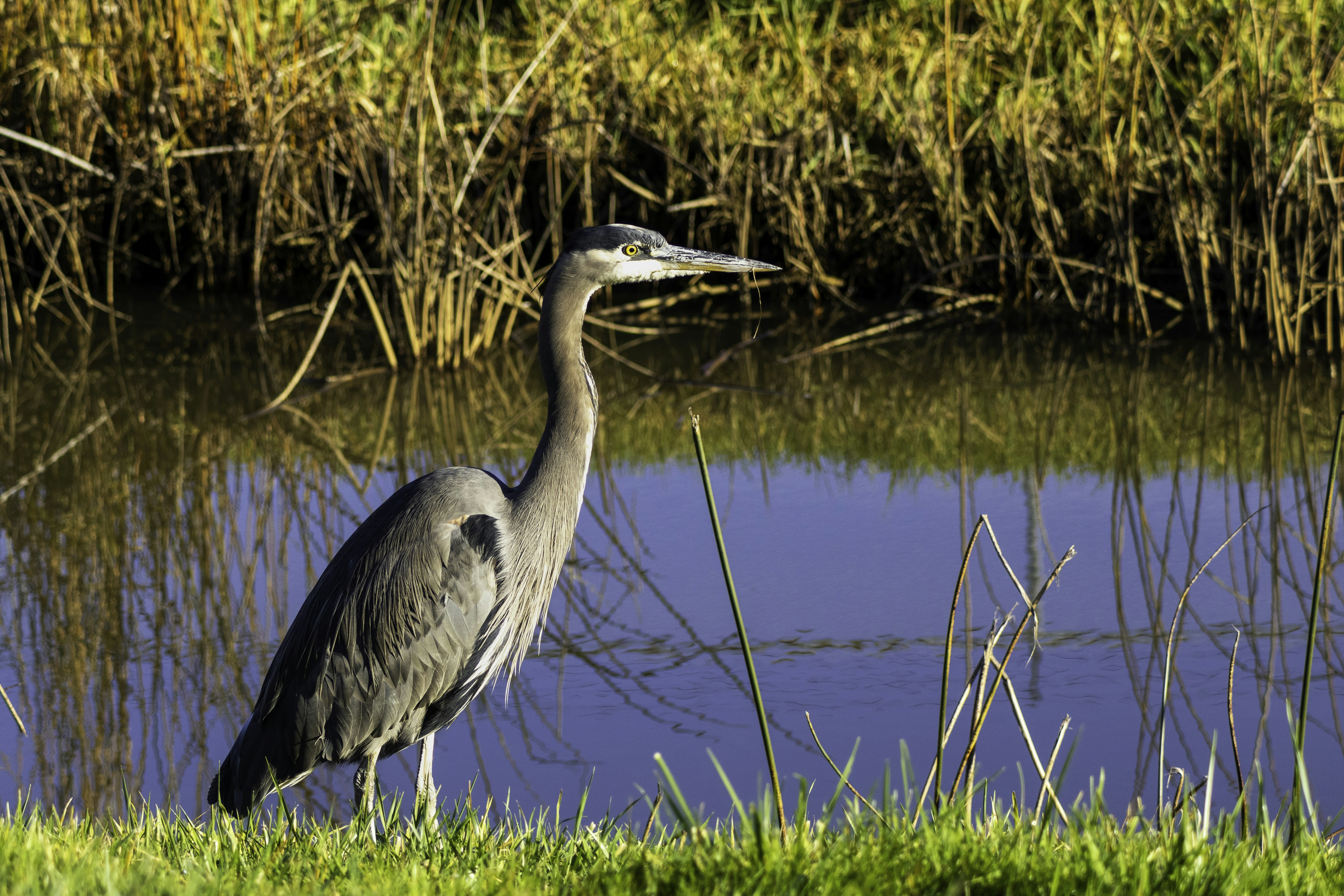 Photo by thedailystruggles