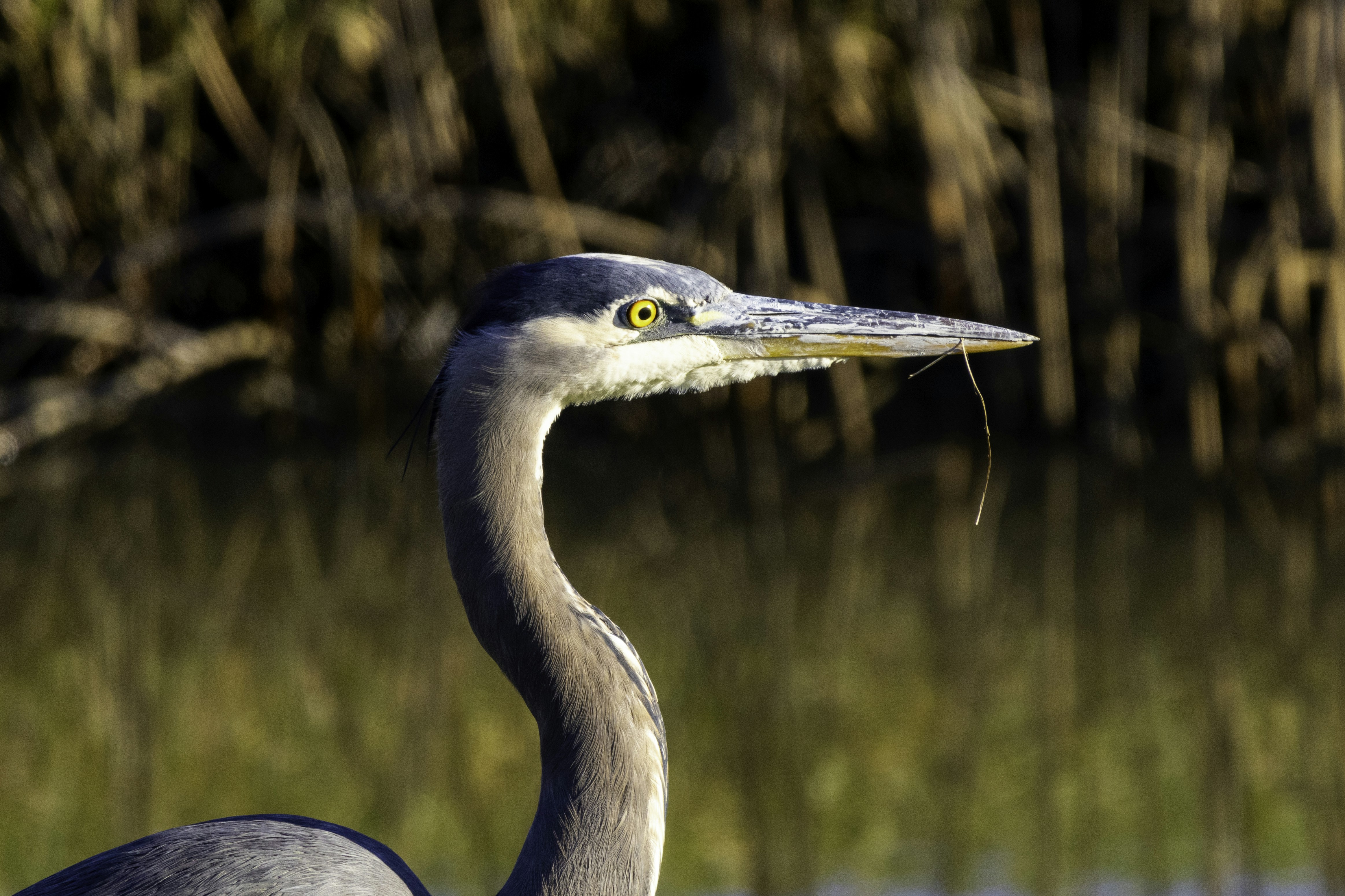 Photo by thedailystruggles