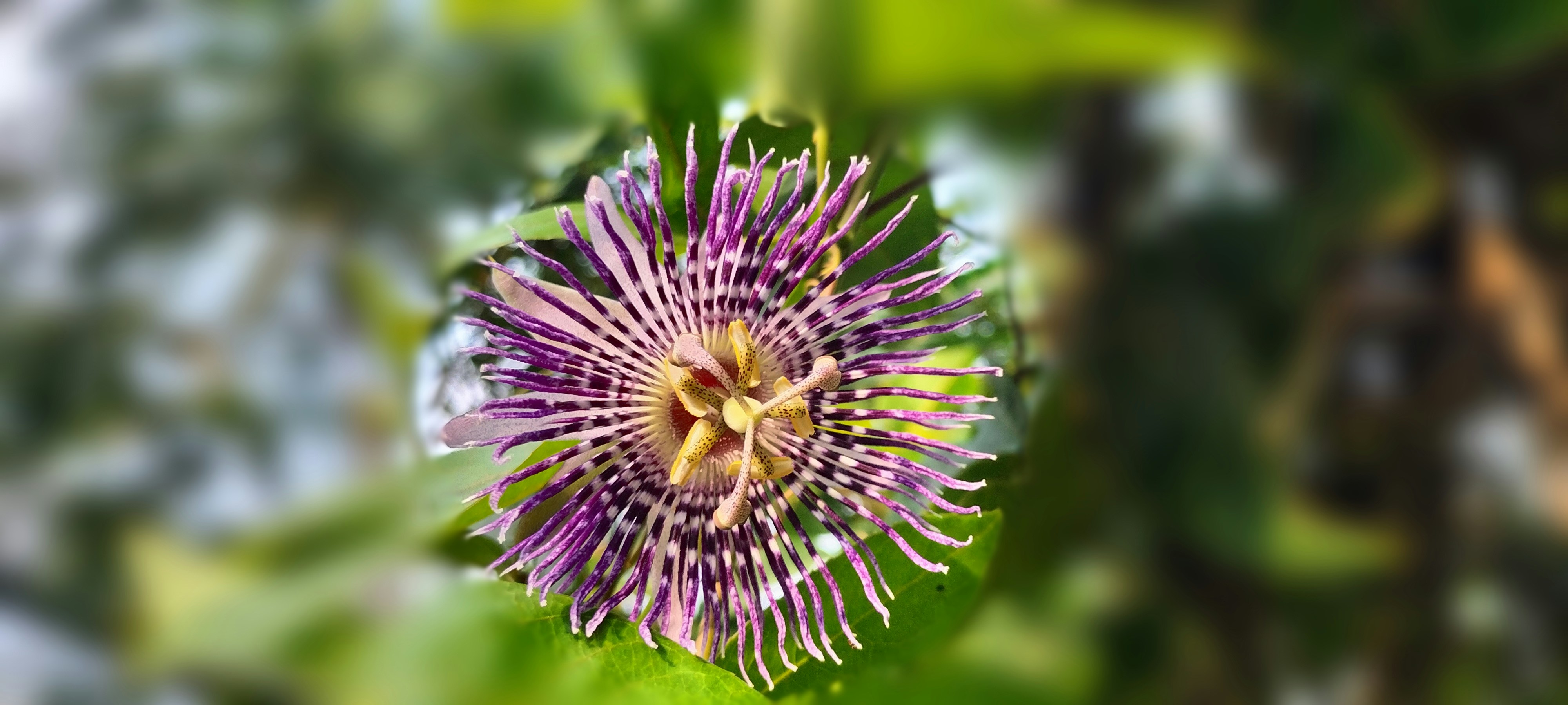 Photo by shreyassrivatsan