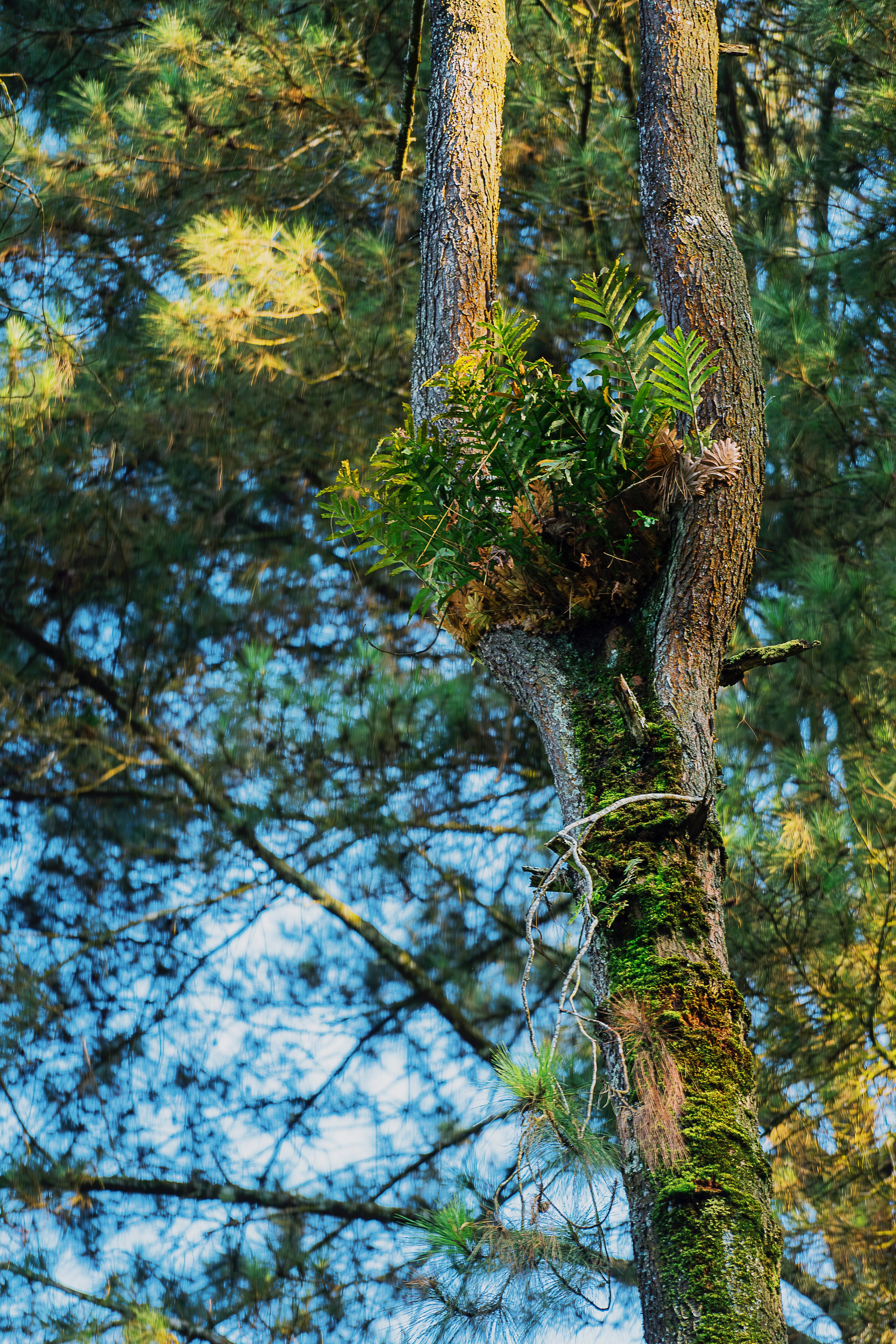 Photo by gosoundmitch