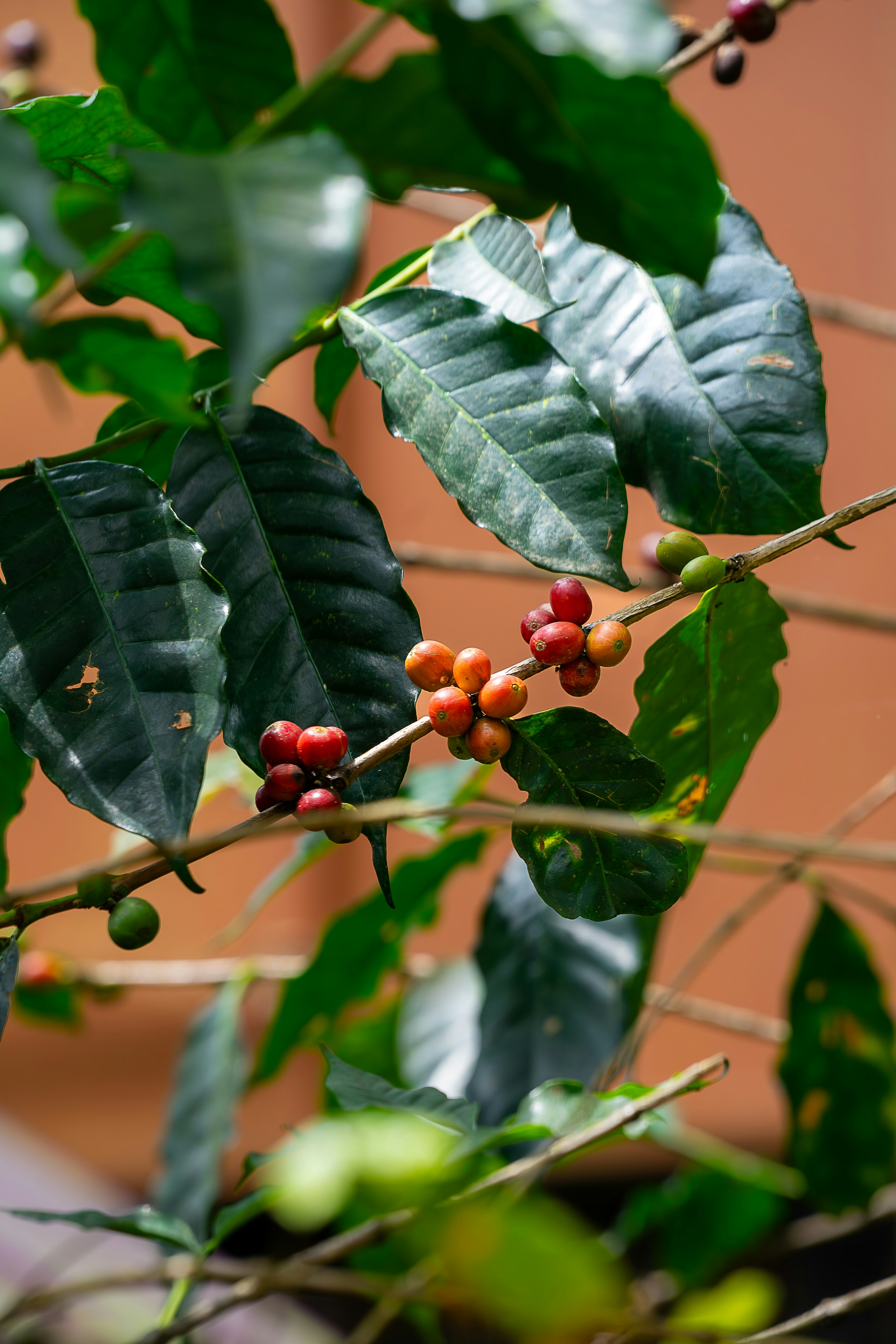 Photo by gosoundmitch