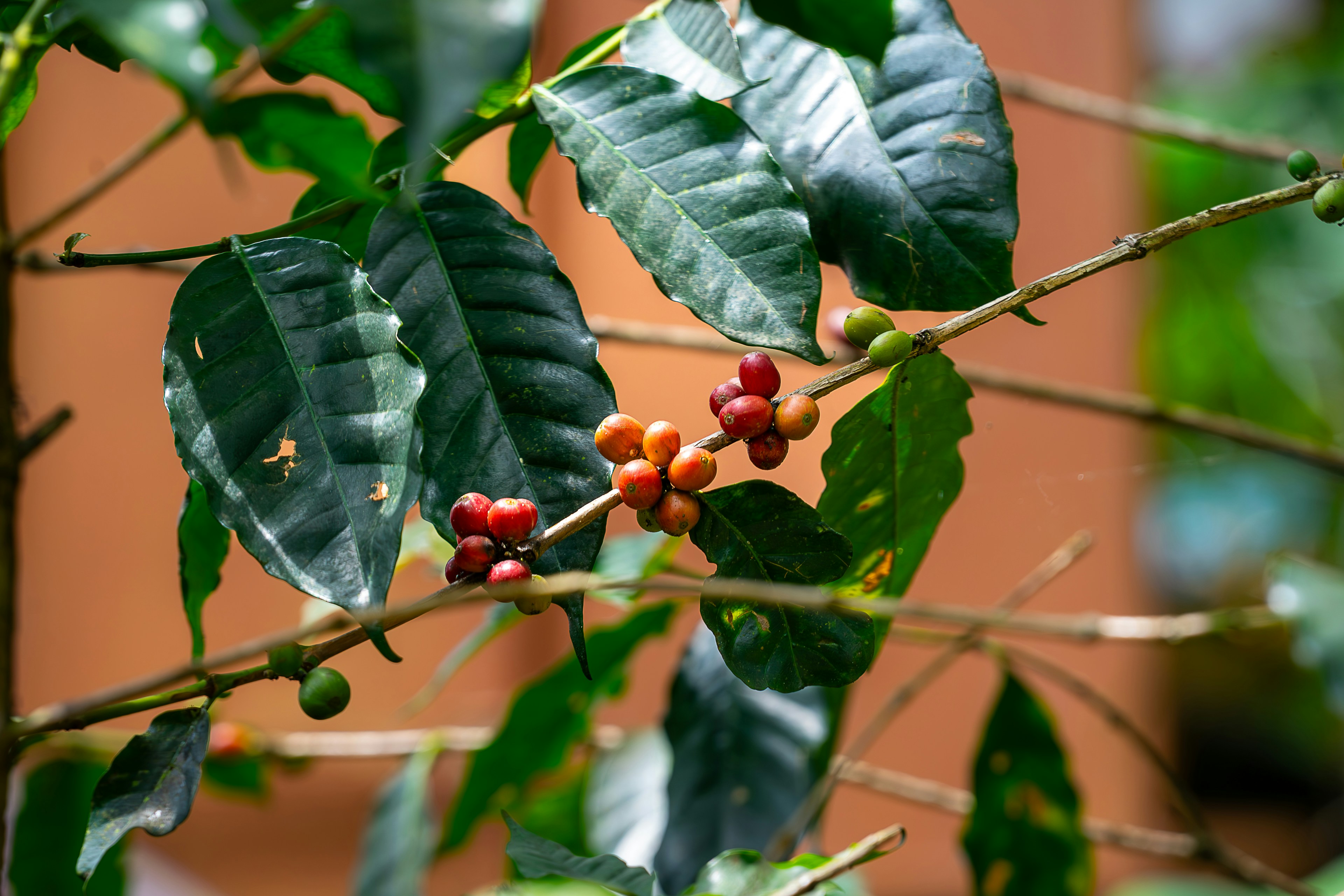 Photo by gosoundmitch