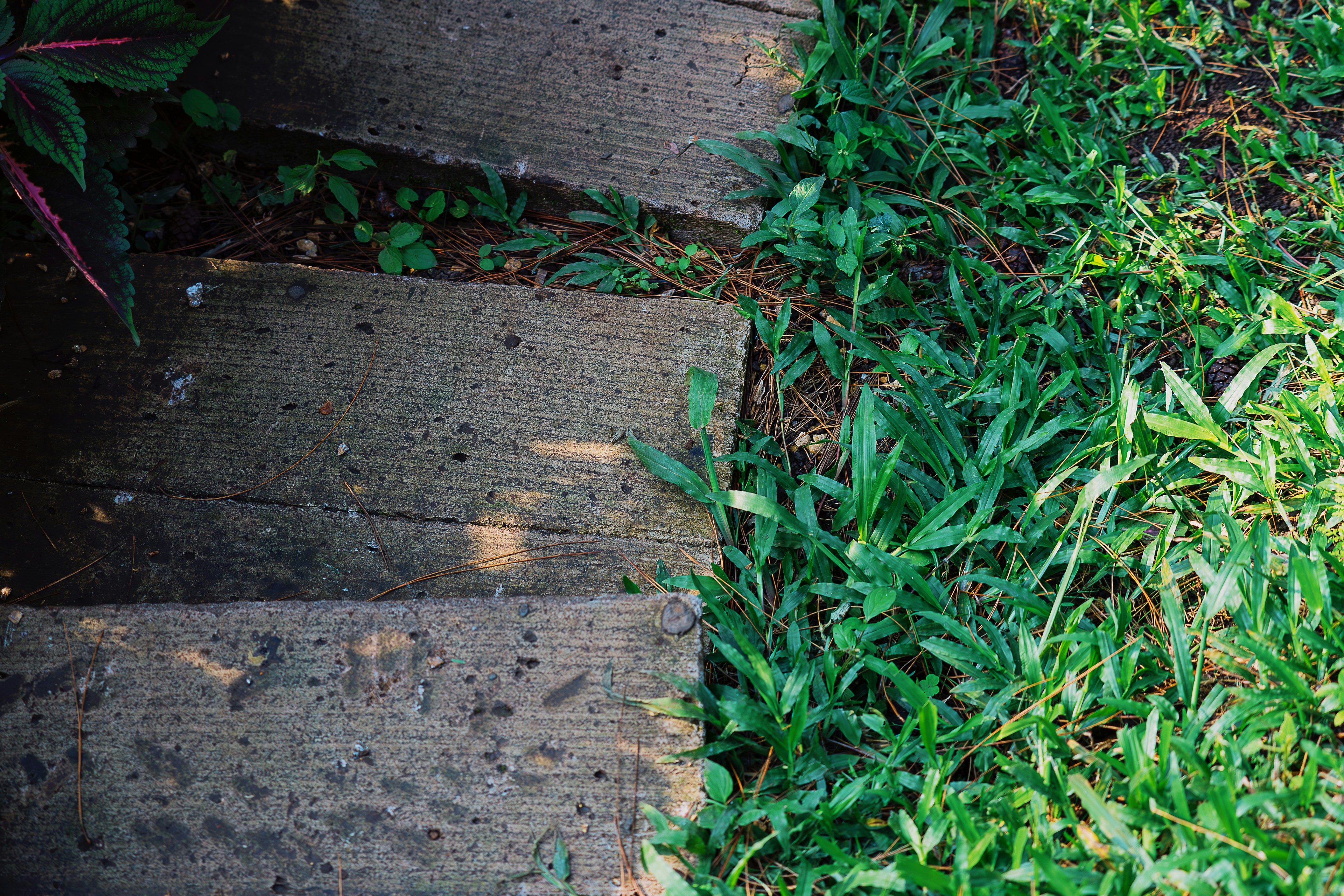 Photo by gosoundmitch