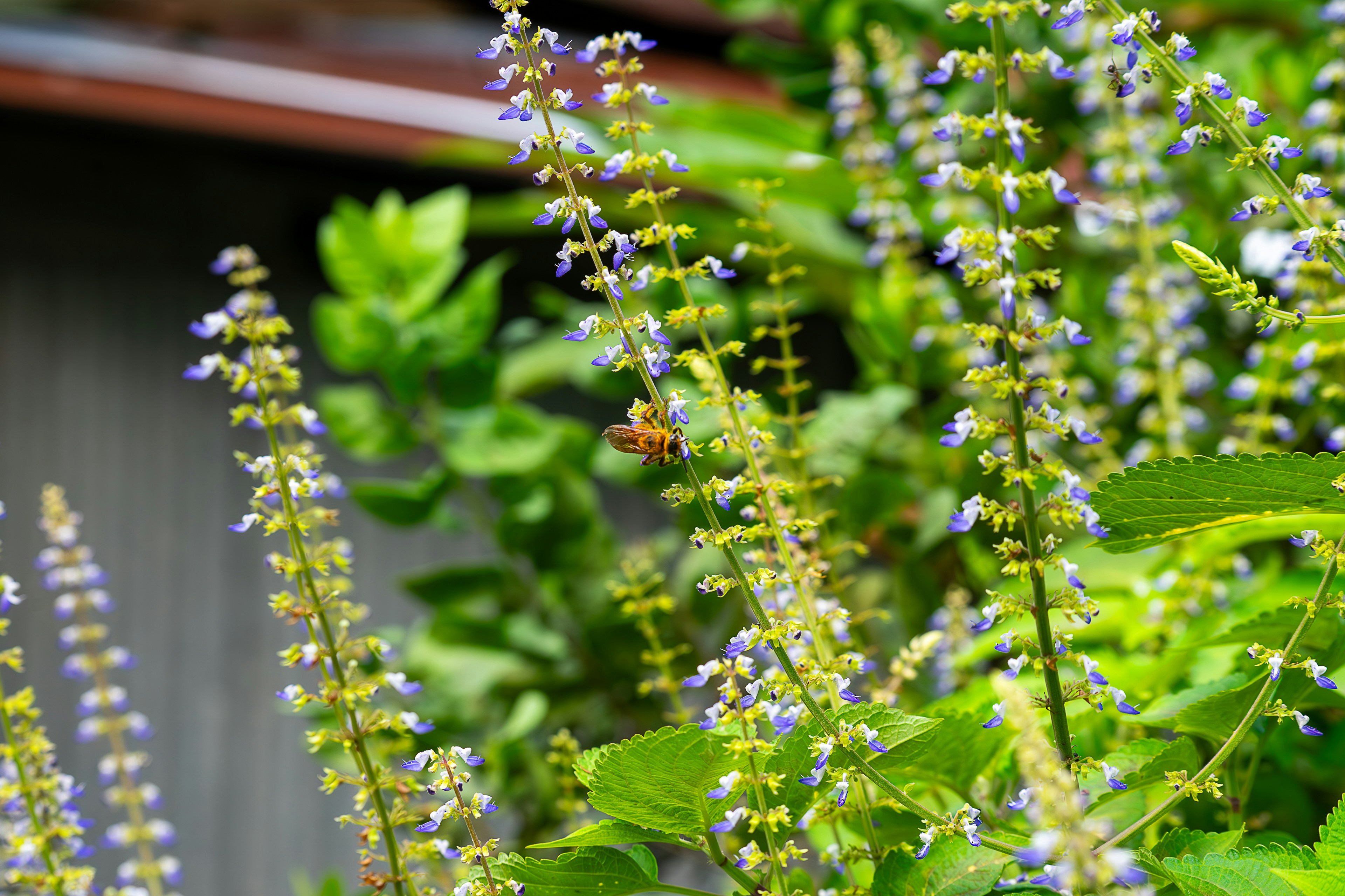 Photo by gosoundmitch