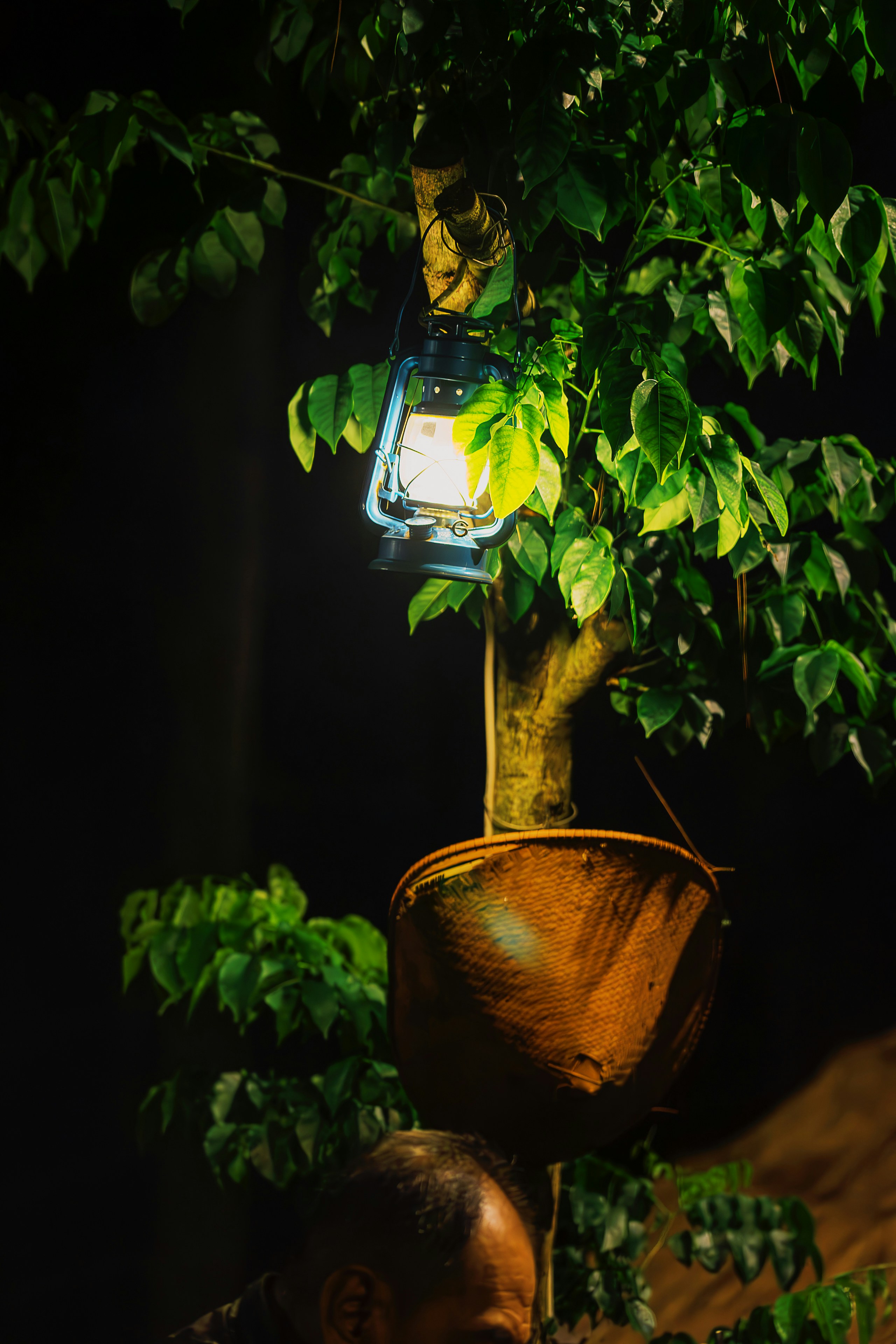 Photo by gosoundmitch