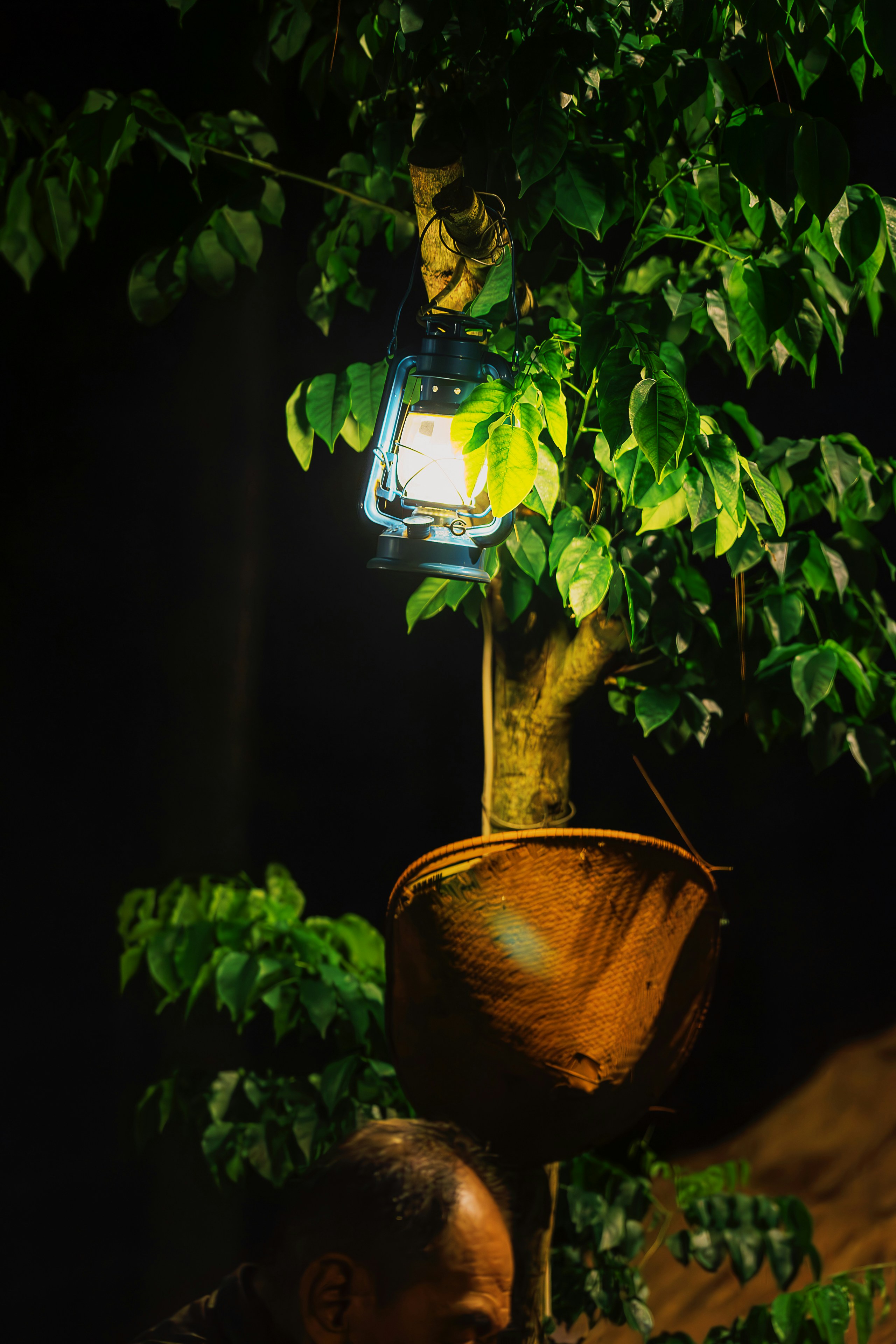 Photo by gosoundmitch