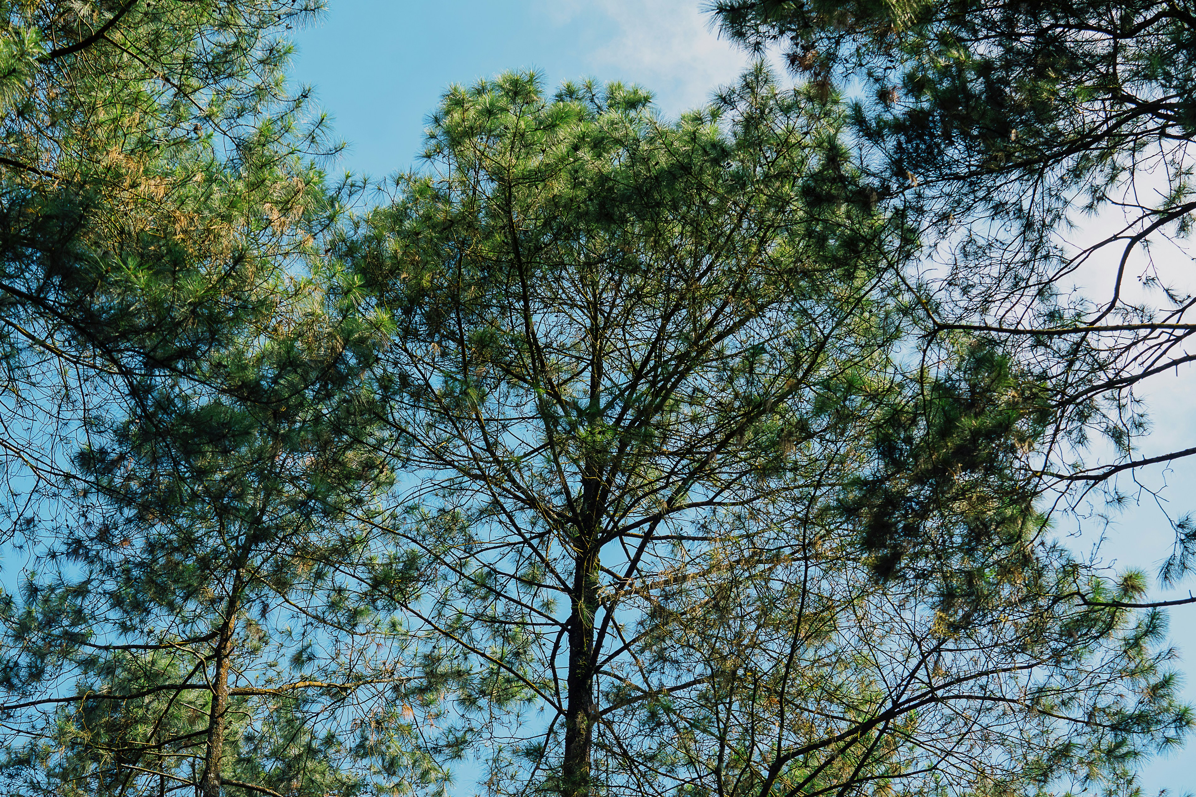 Photo by gosoundmitch