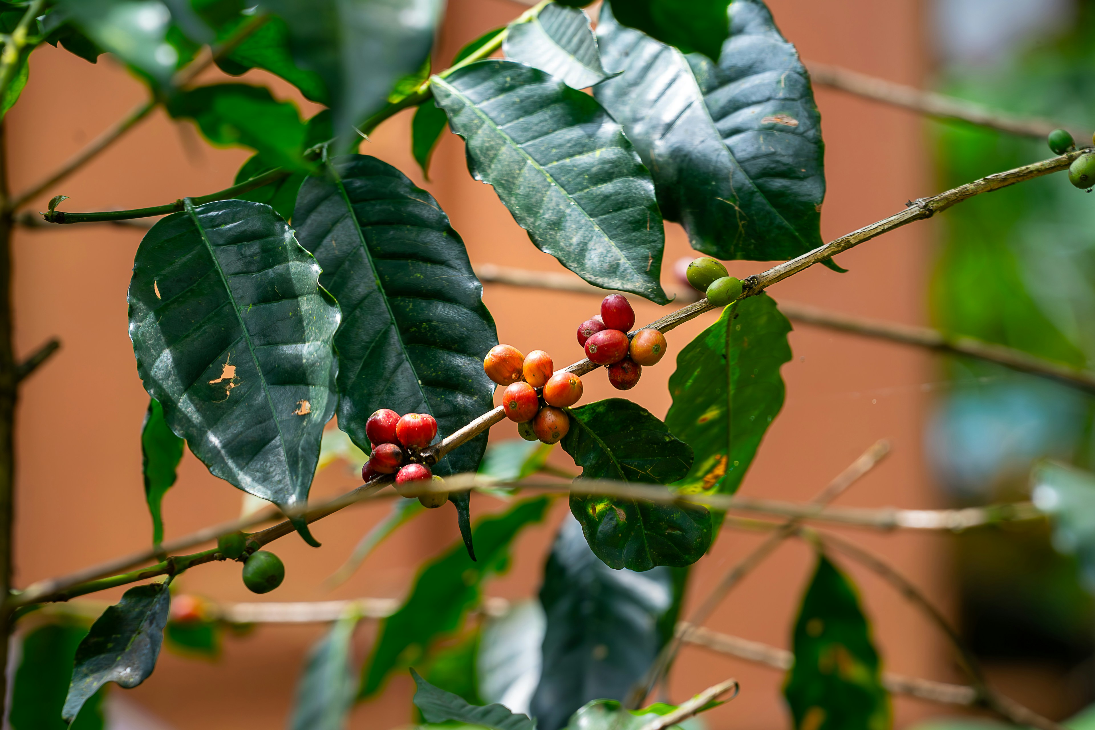 Photo by gosoundmitch