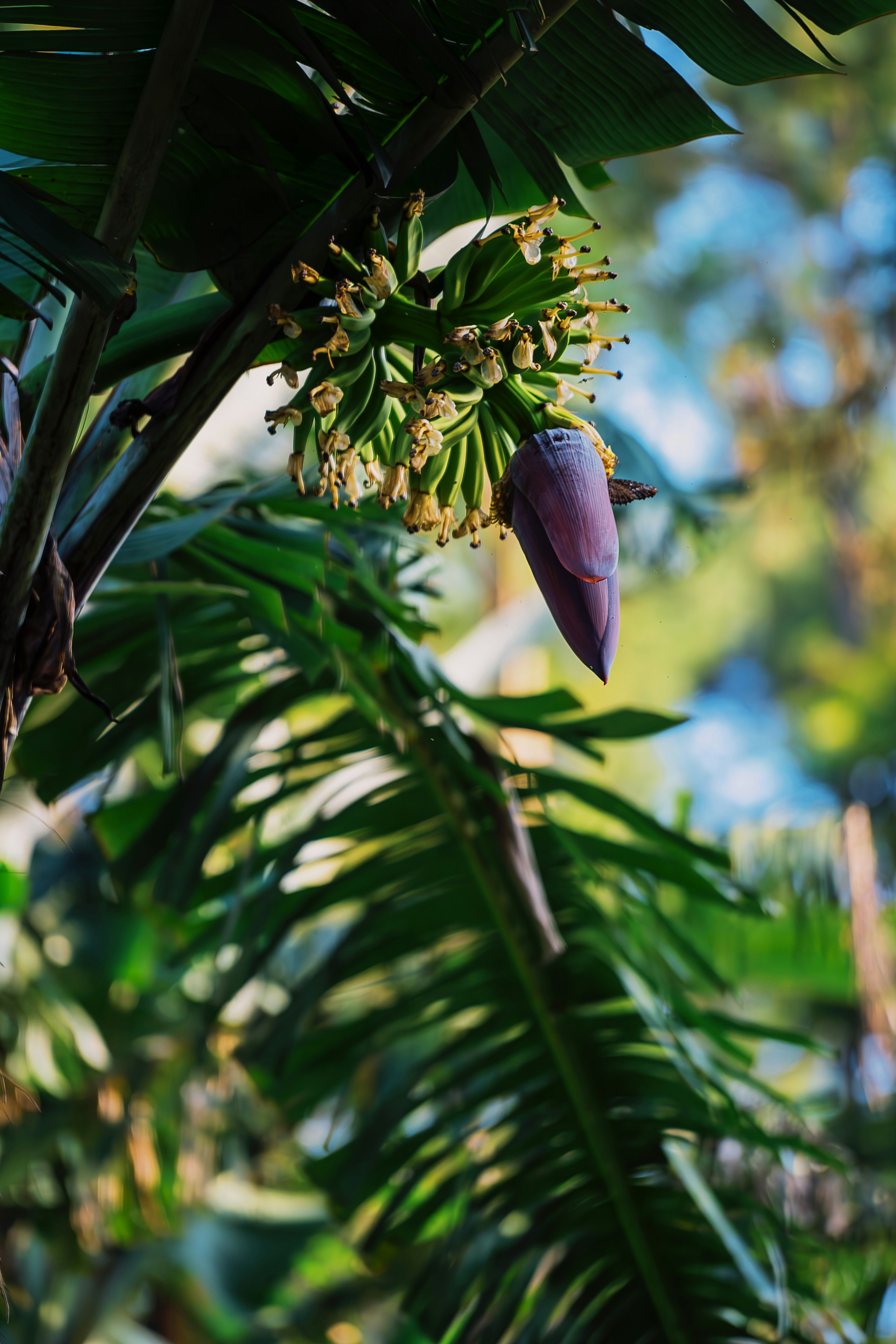 Photo by gosoundmitch