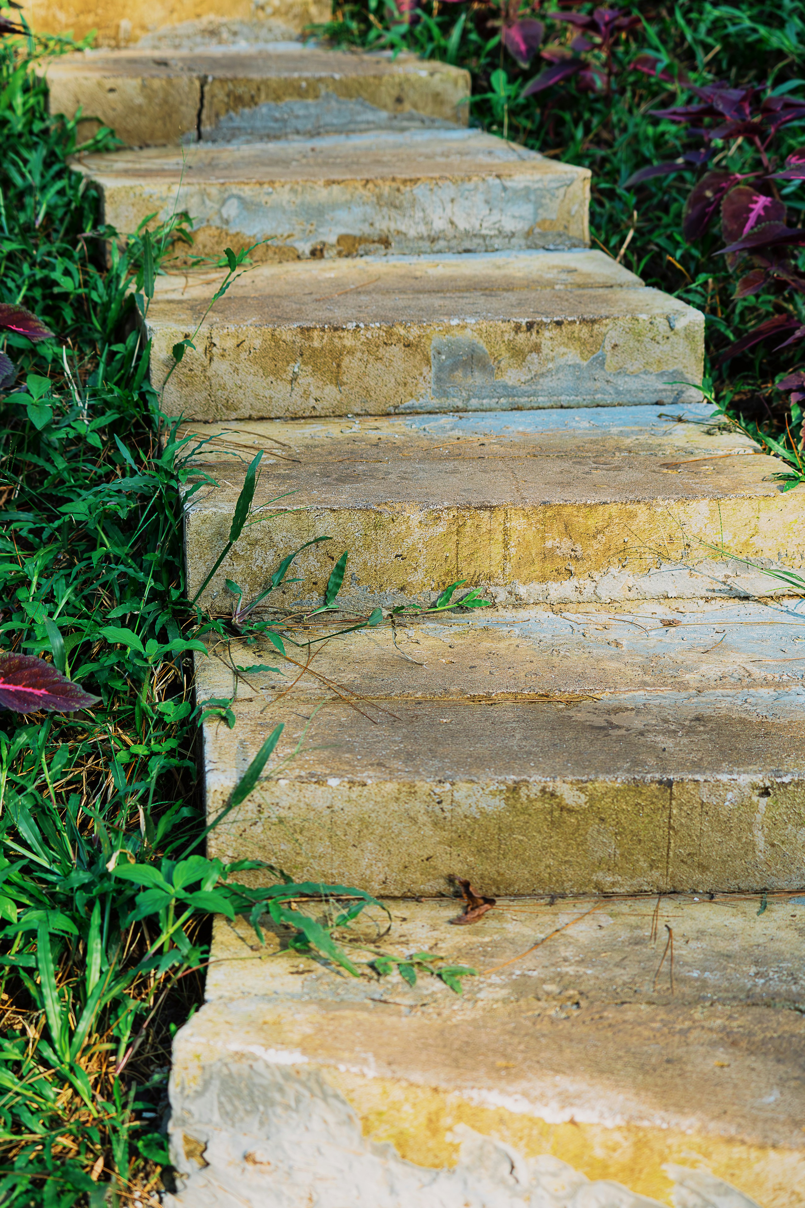 A close up of a set of stone steps photo – Free Trawas Image on Unsplash