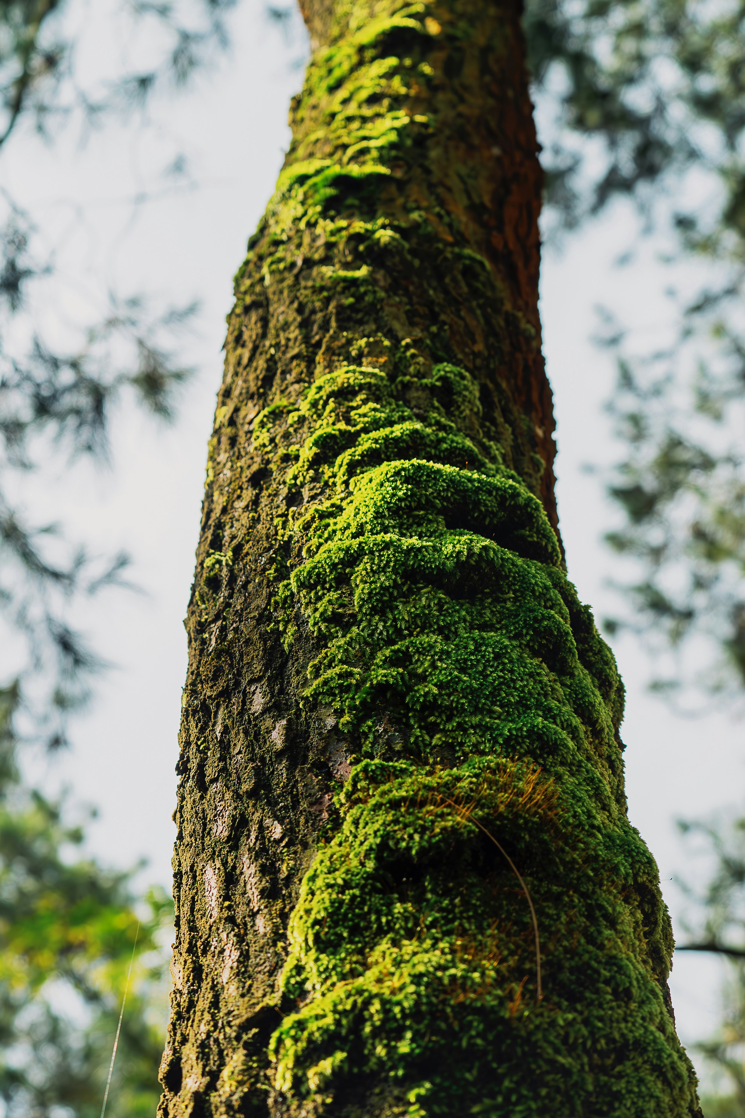 Photo by gosoundmitch