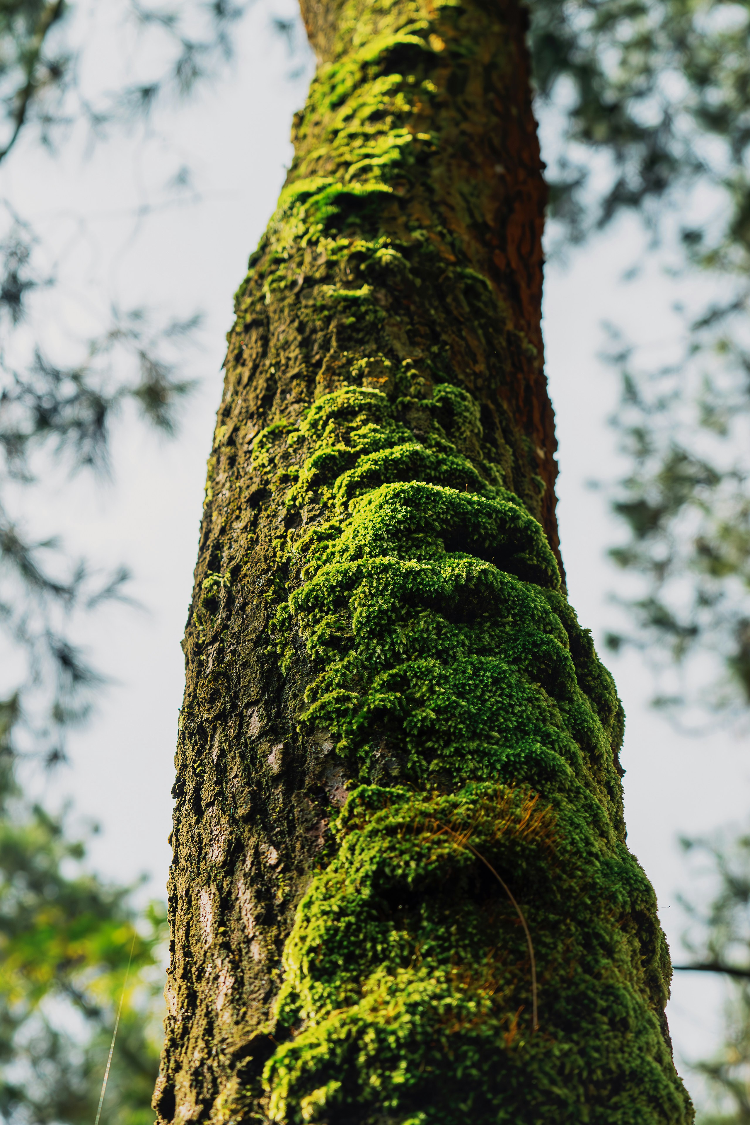 Photo by gosoundmitch