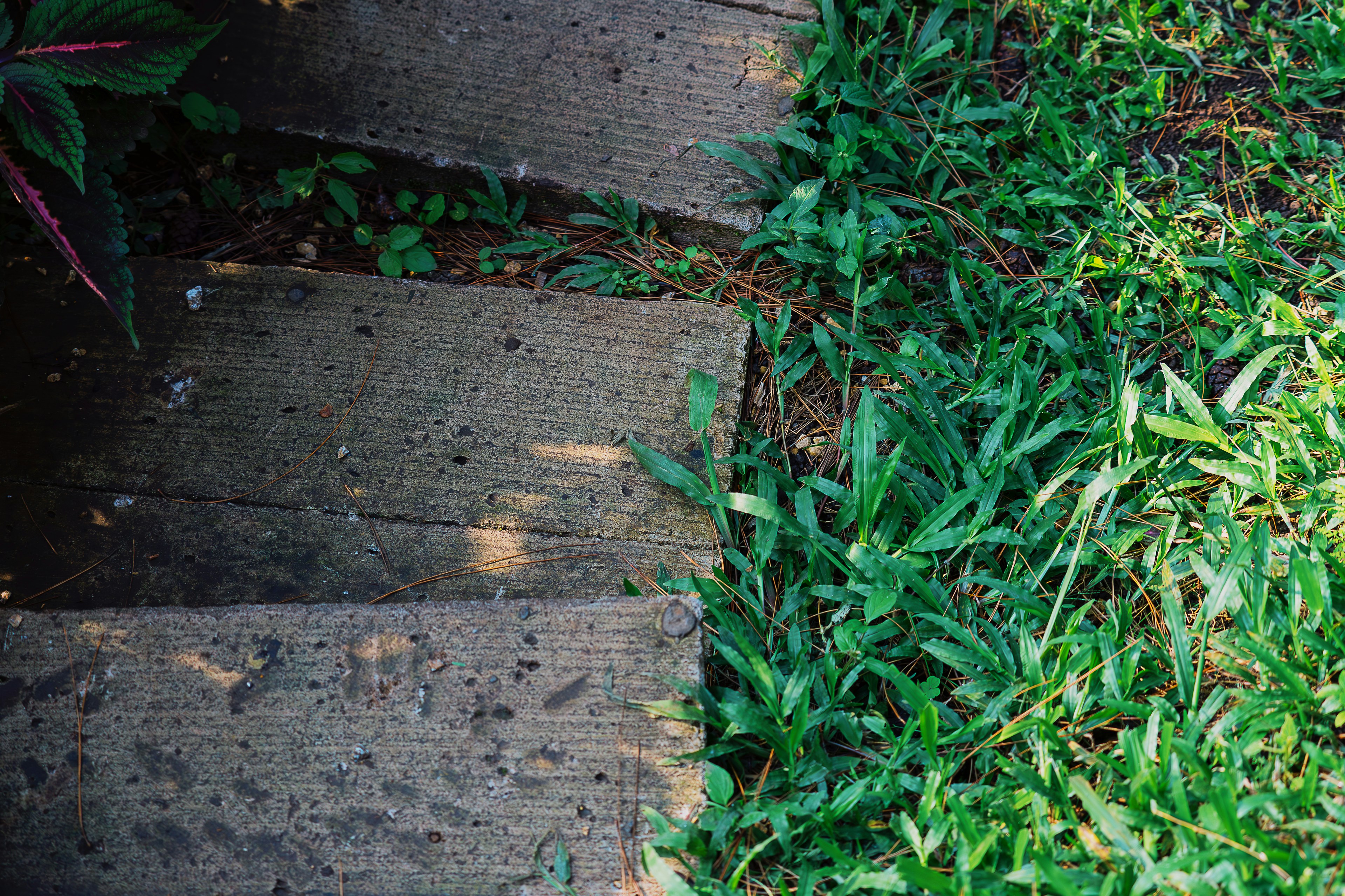 Photo by gosoundmitch