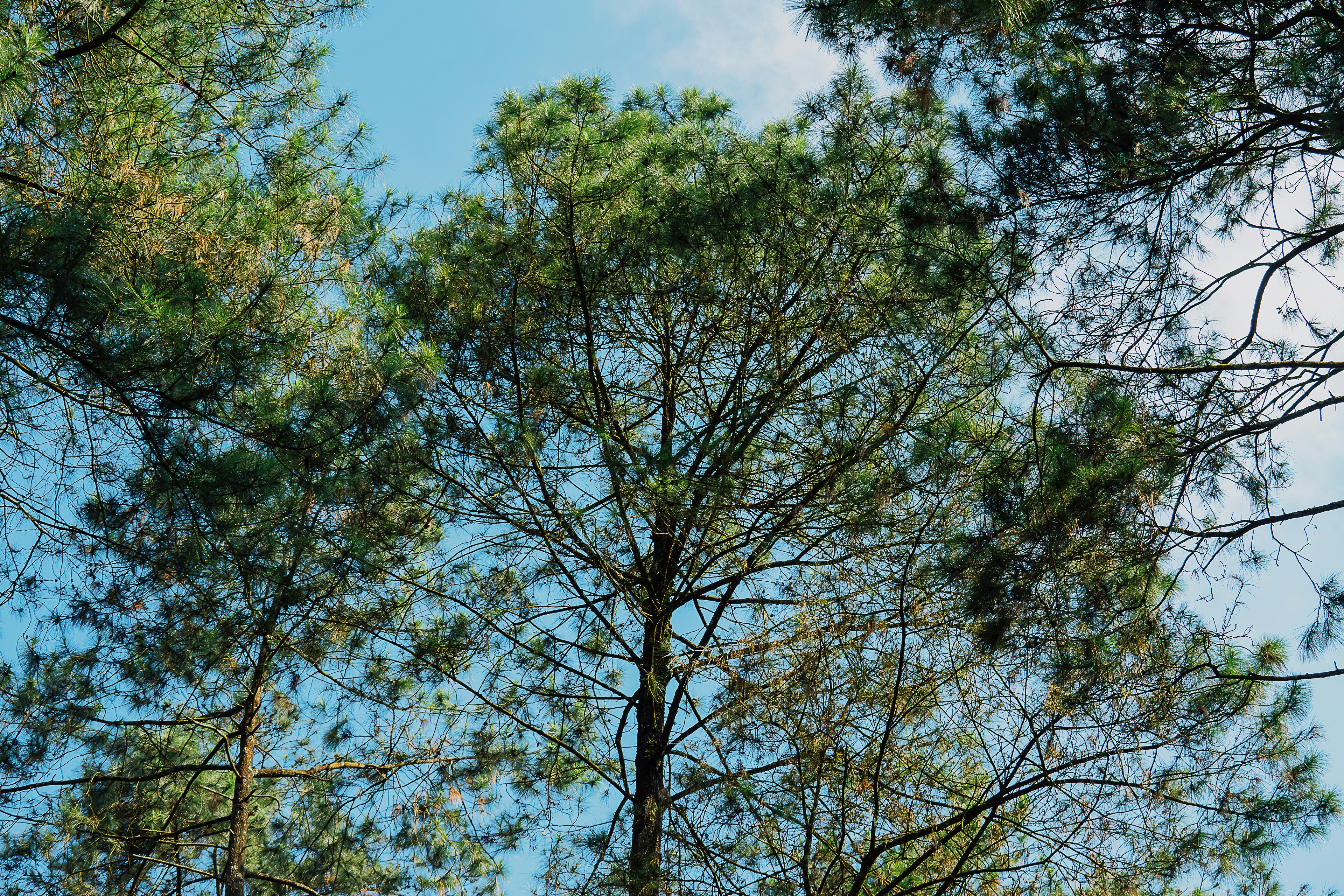 Photo by gosoundmitch