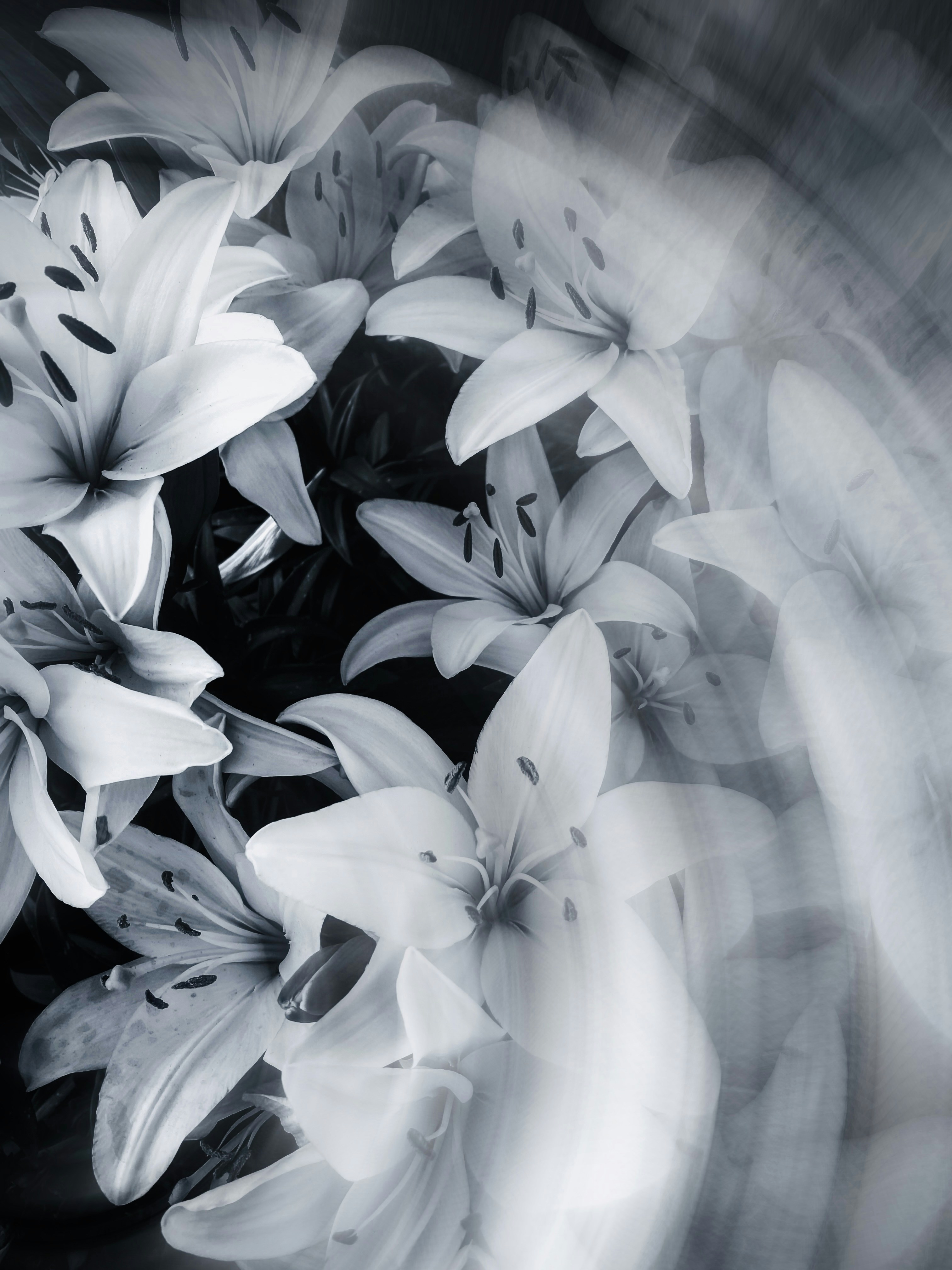 Photo by eugene_golovesov