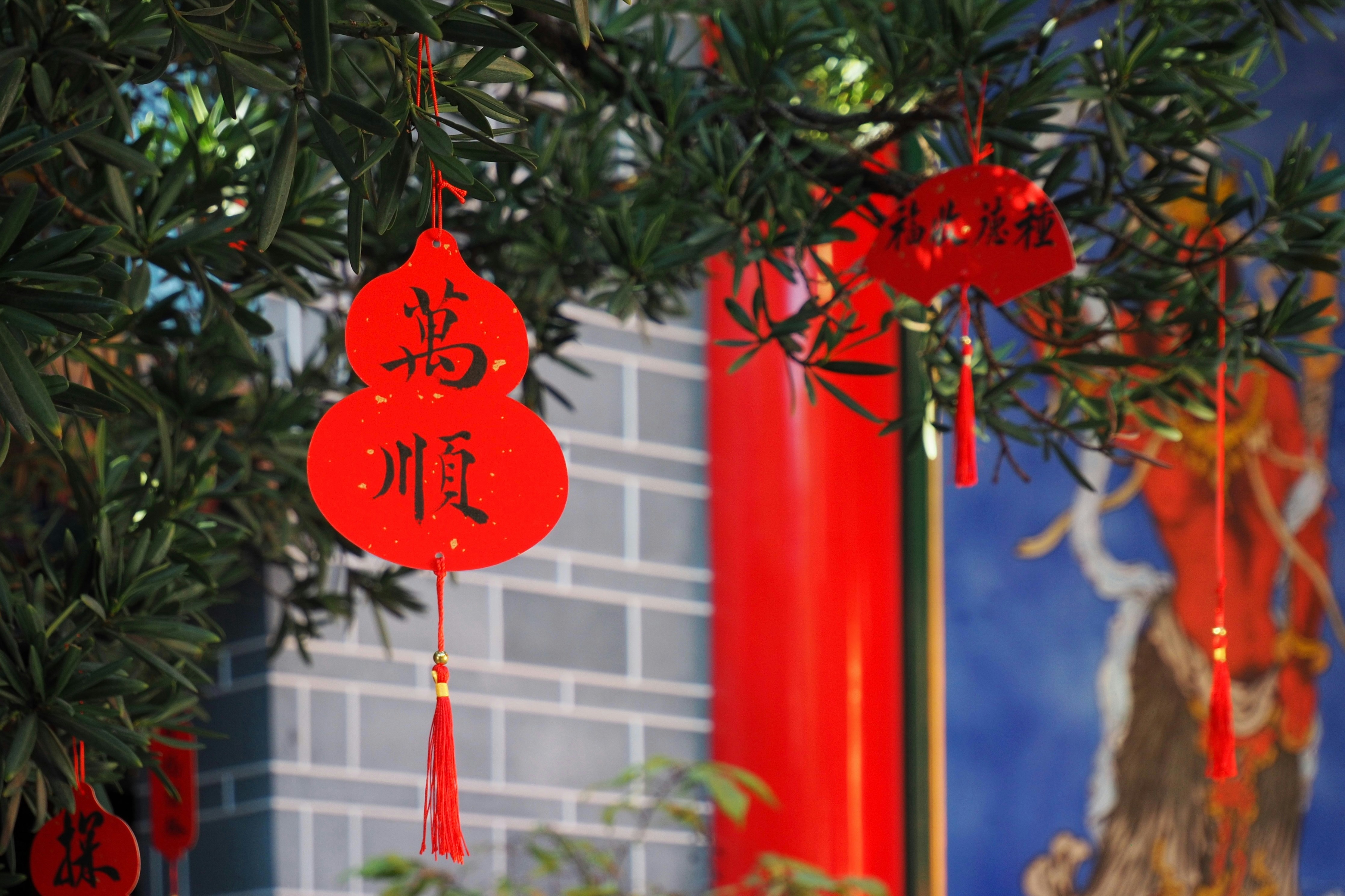 Touching Merry Christmas Banner Wishes to Share with Family