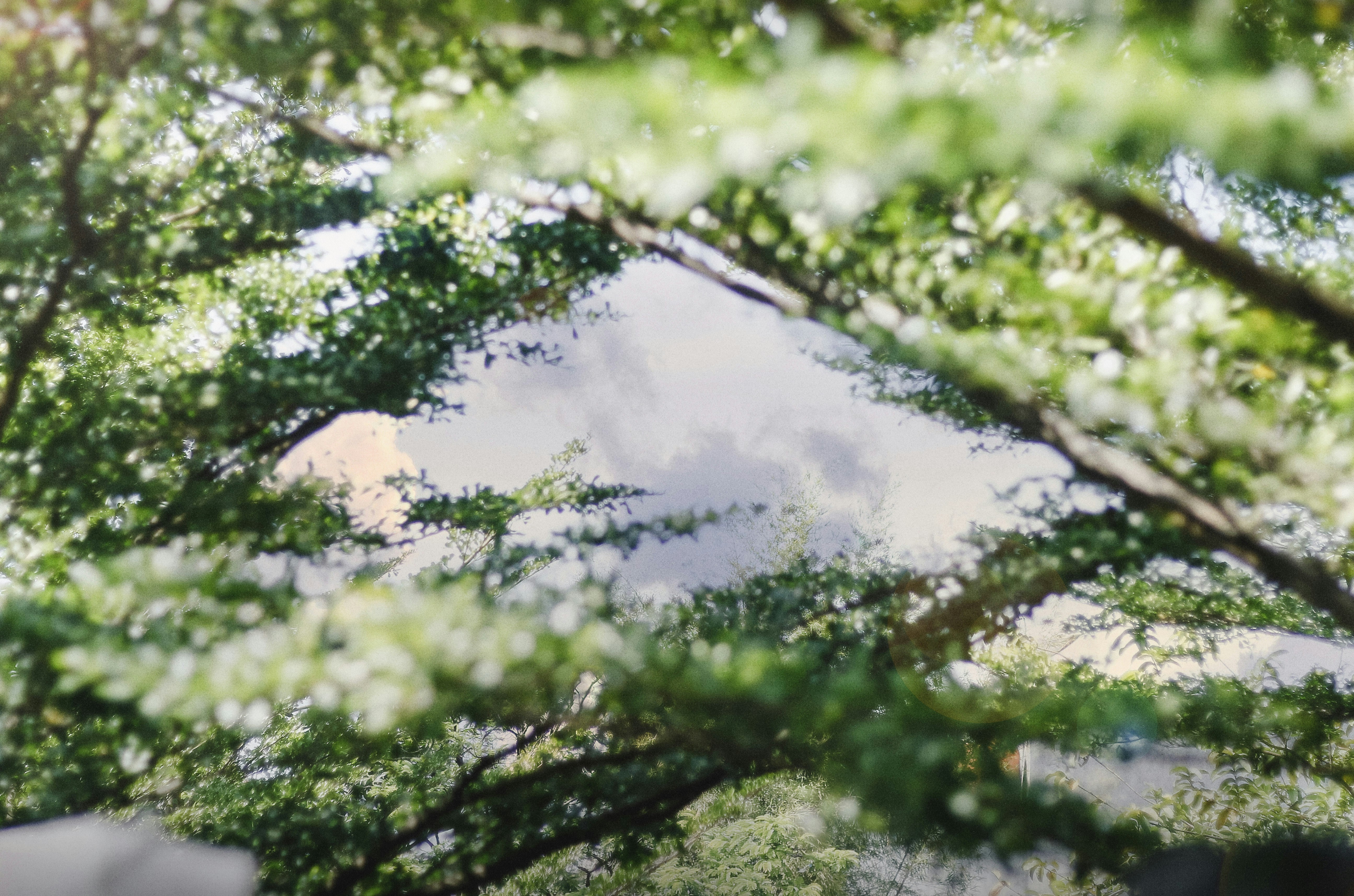 Photo by yosephsyahriel