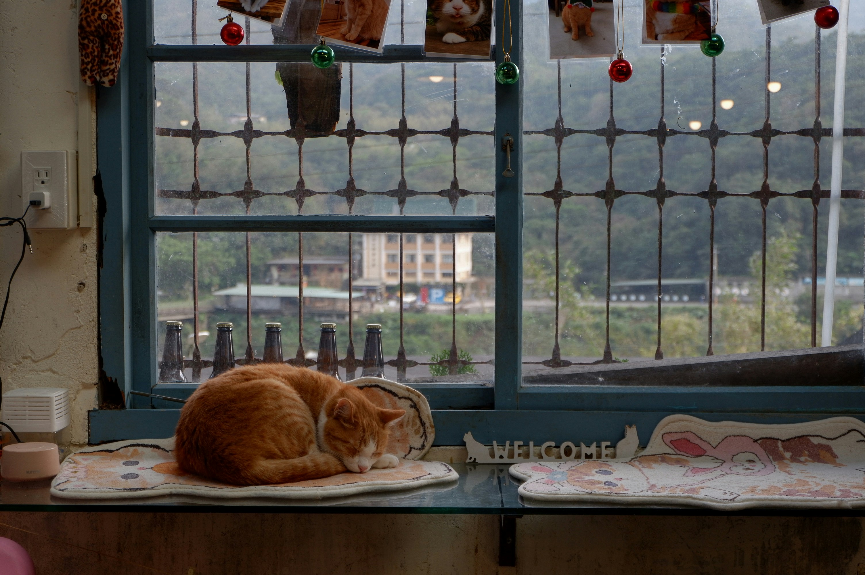 An orange cat sleeping on top of a kitchen counter