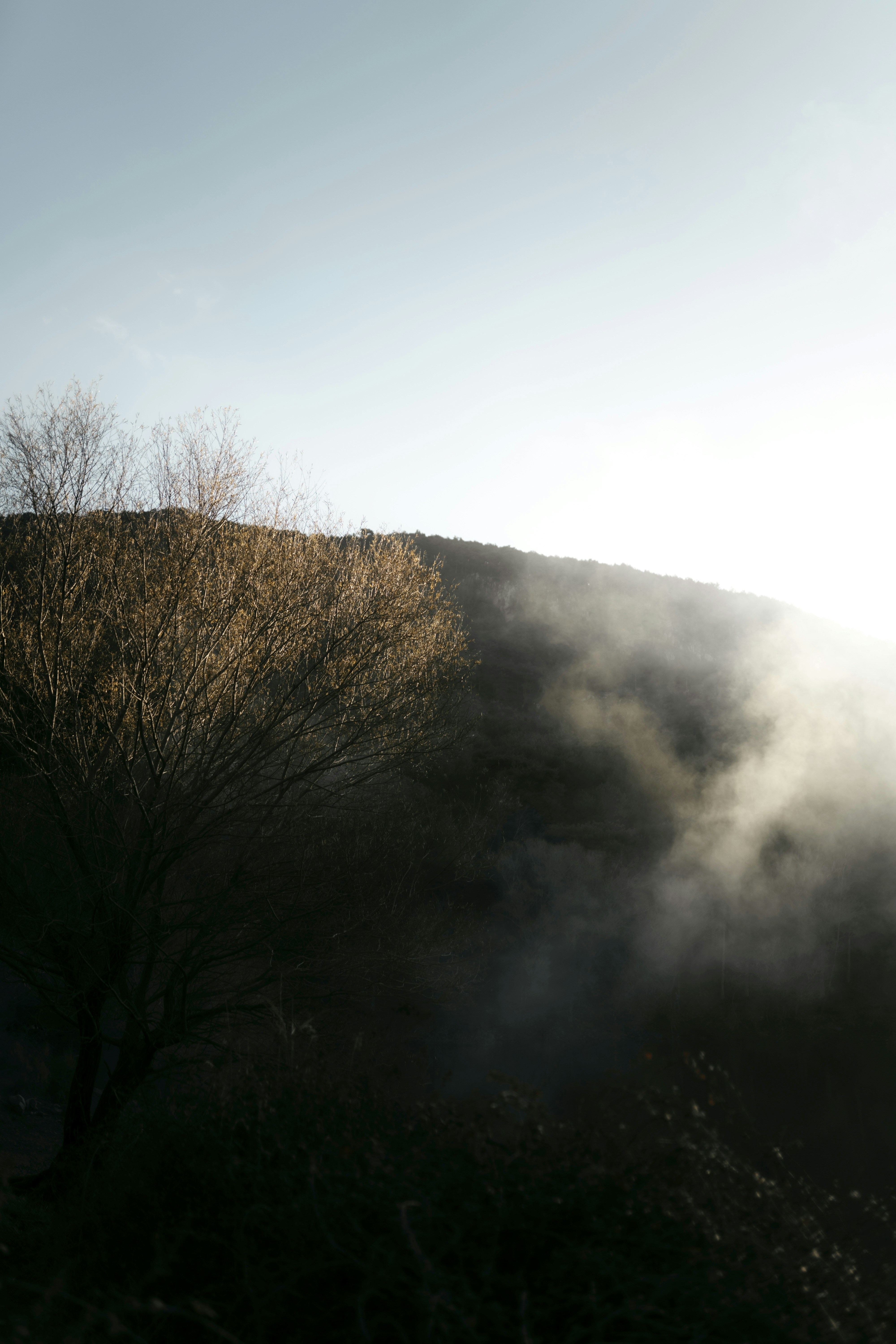 Photo by burakevlivan