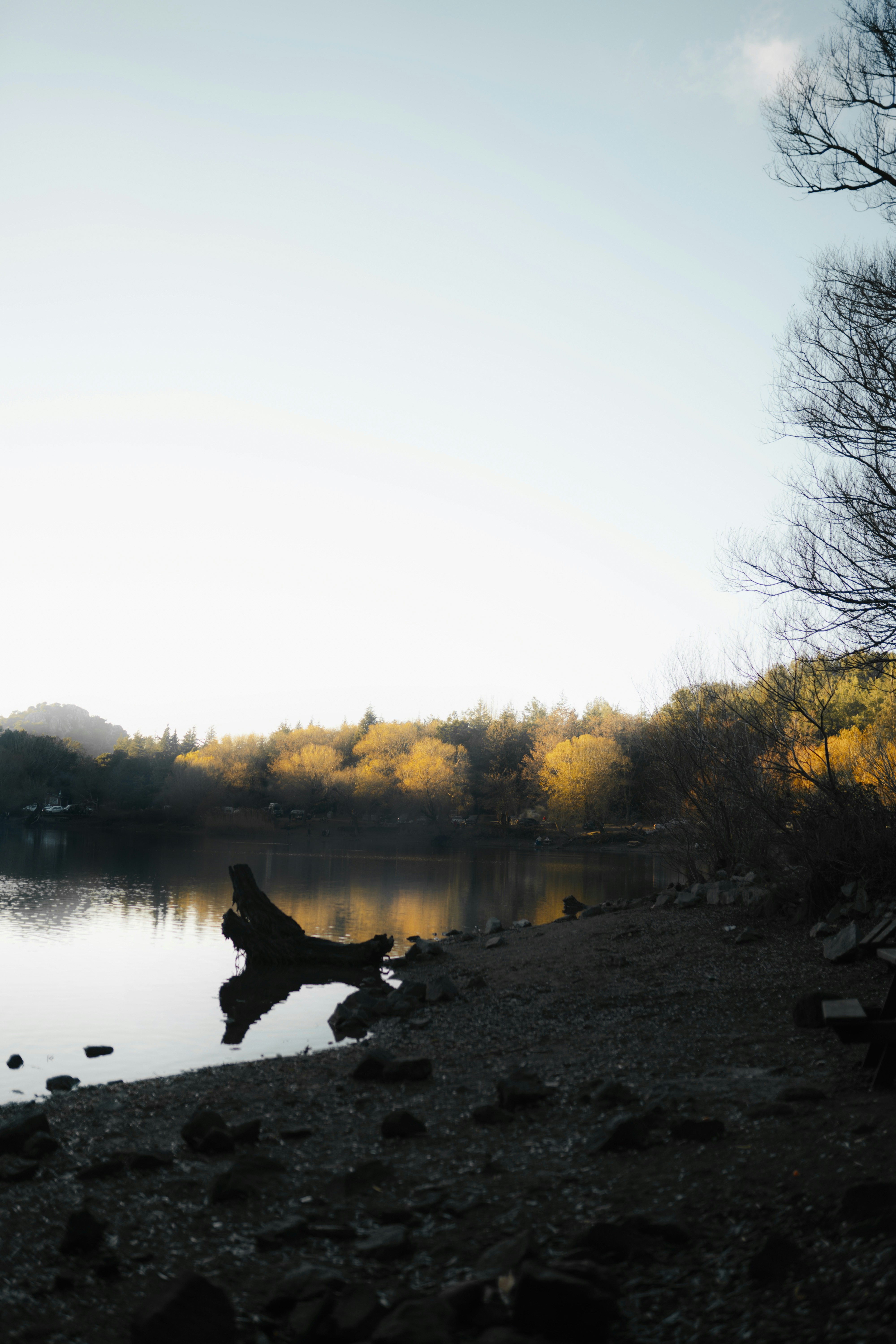 Photo by burakevlivan