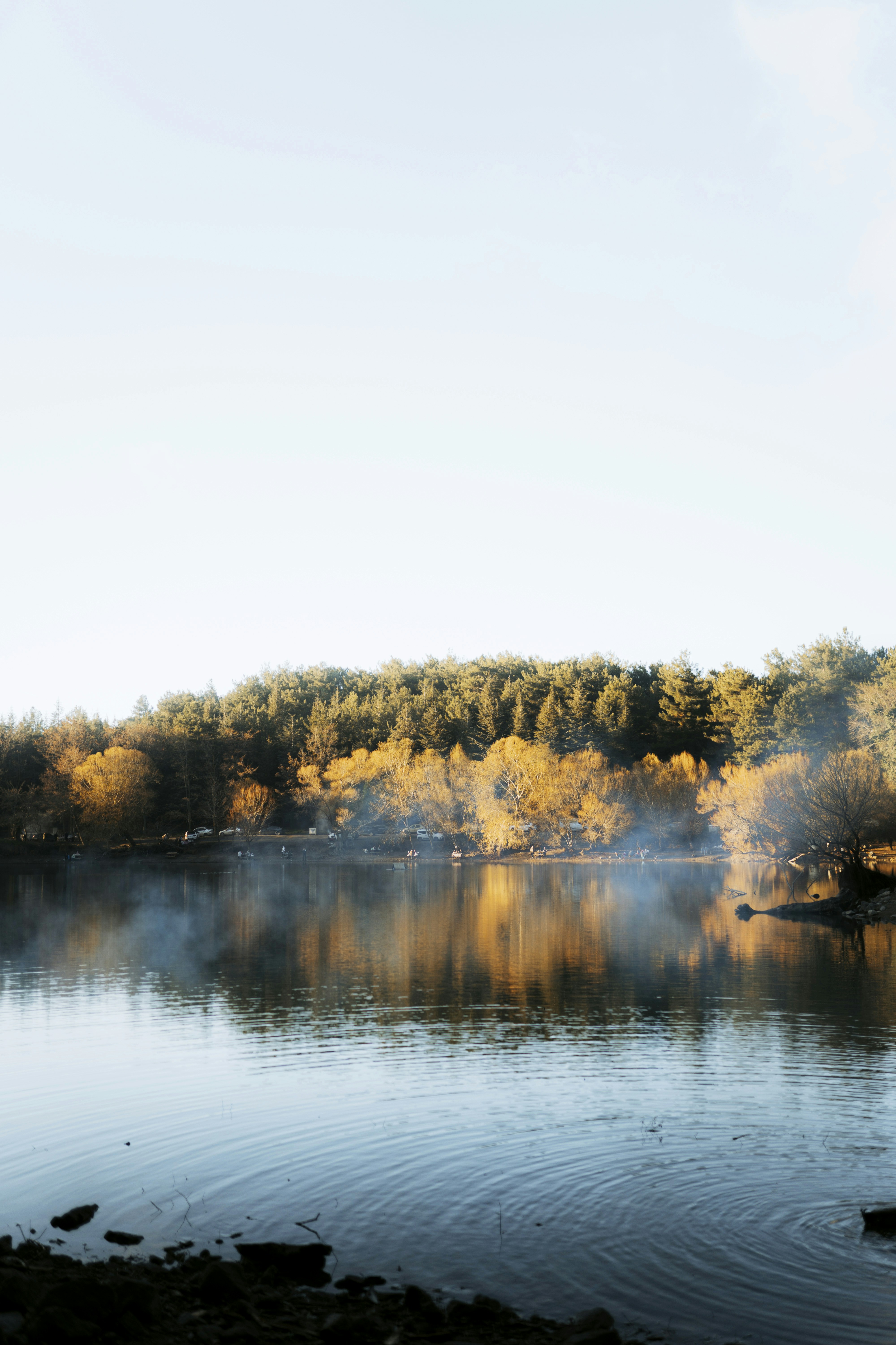 Photo by burakevlivan