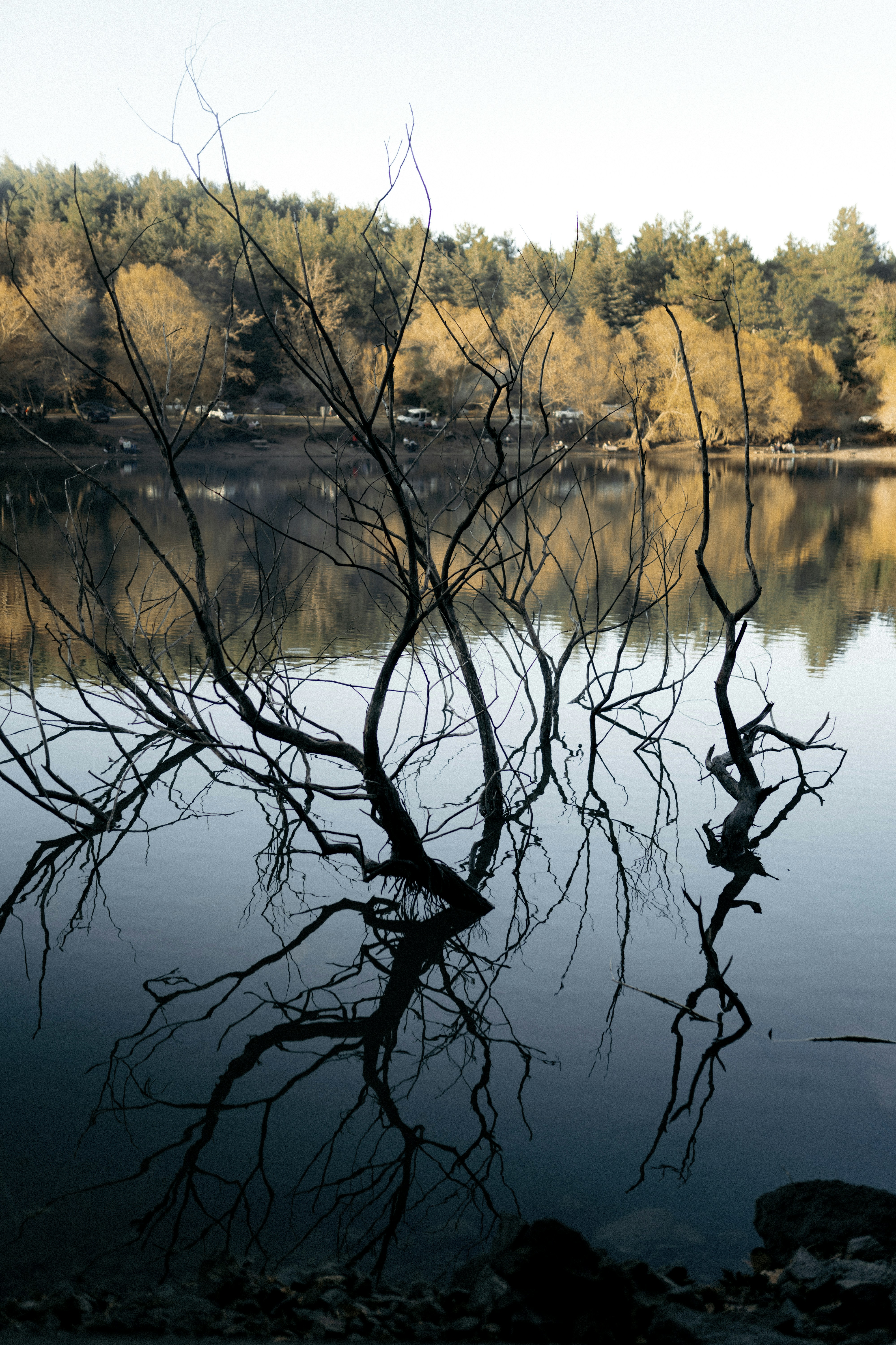 Photo by burakevlivan