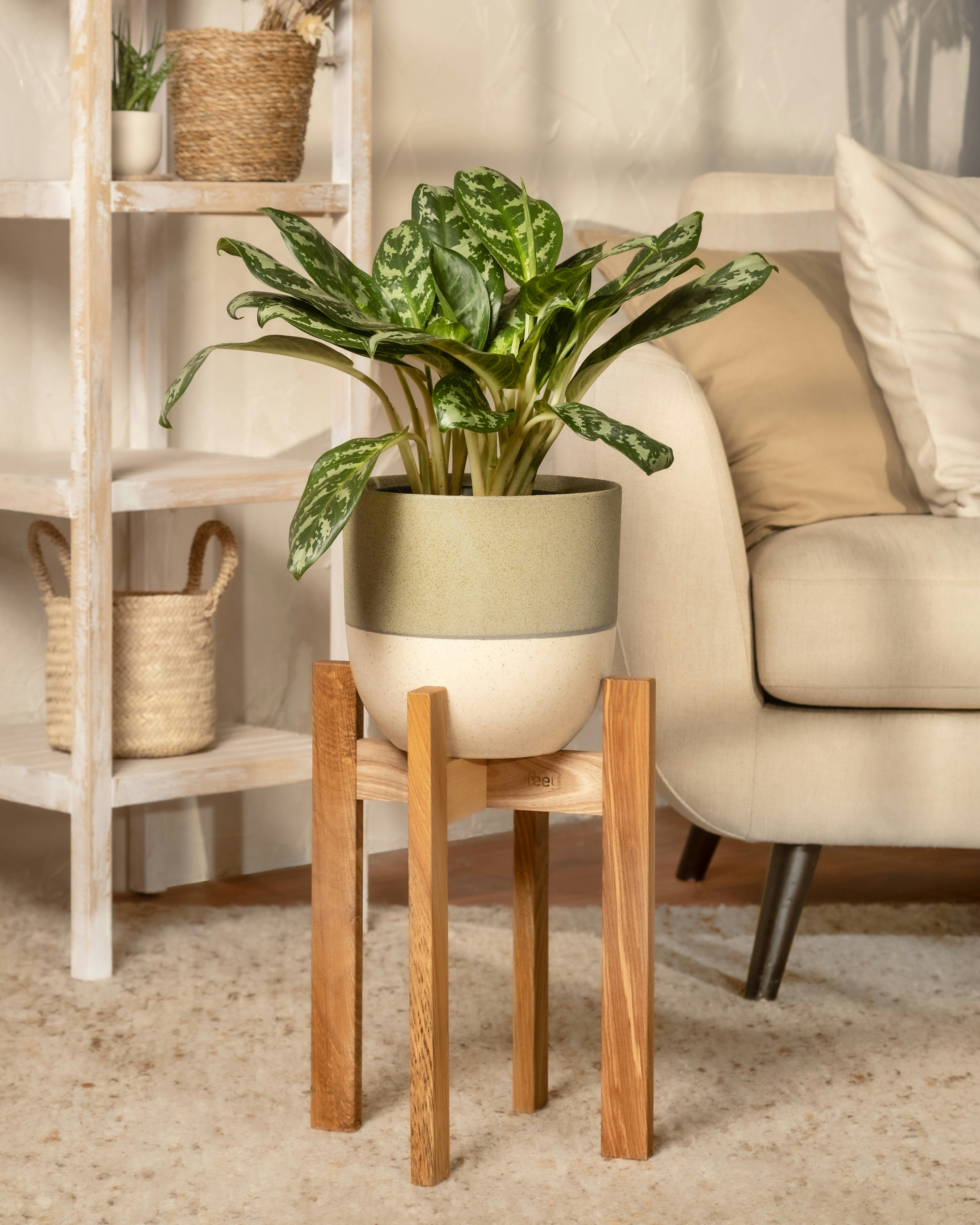 A living room with a couch and a potted plant