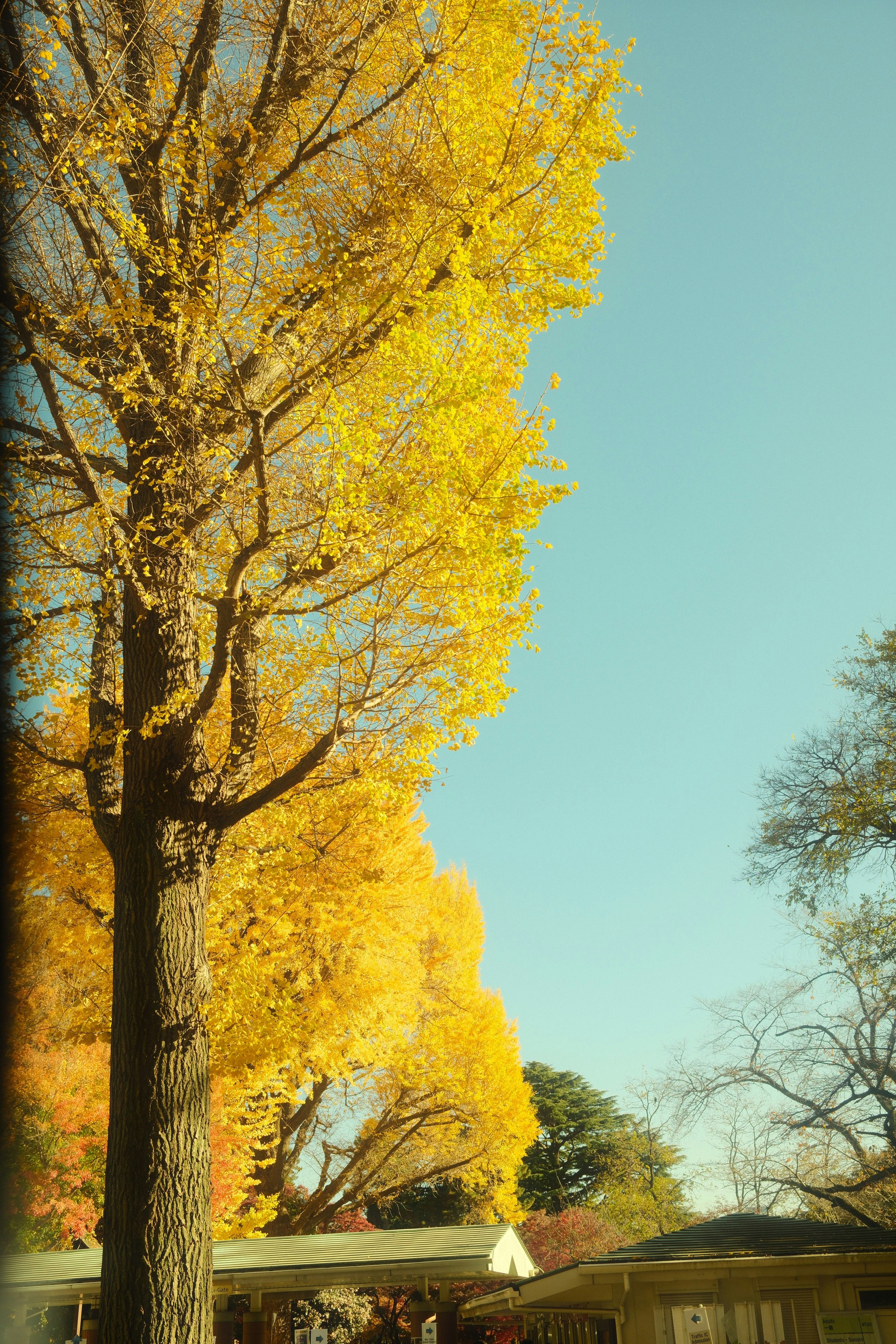 Photo by tsuya1