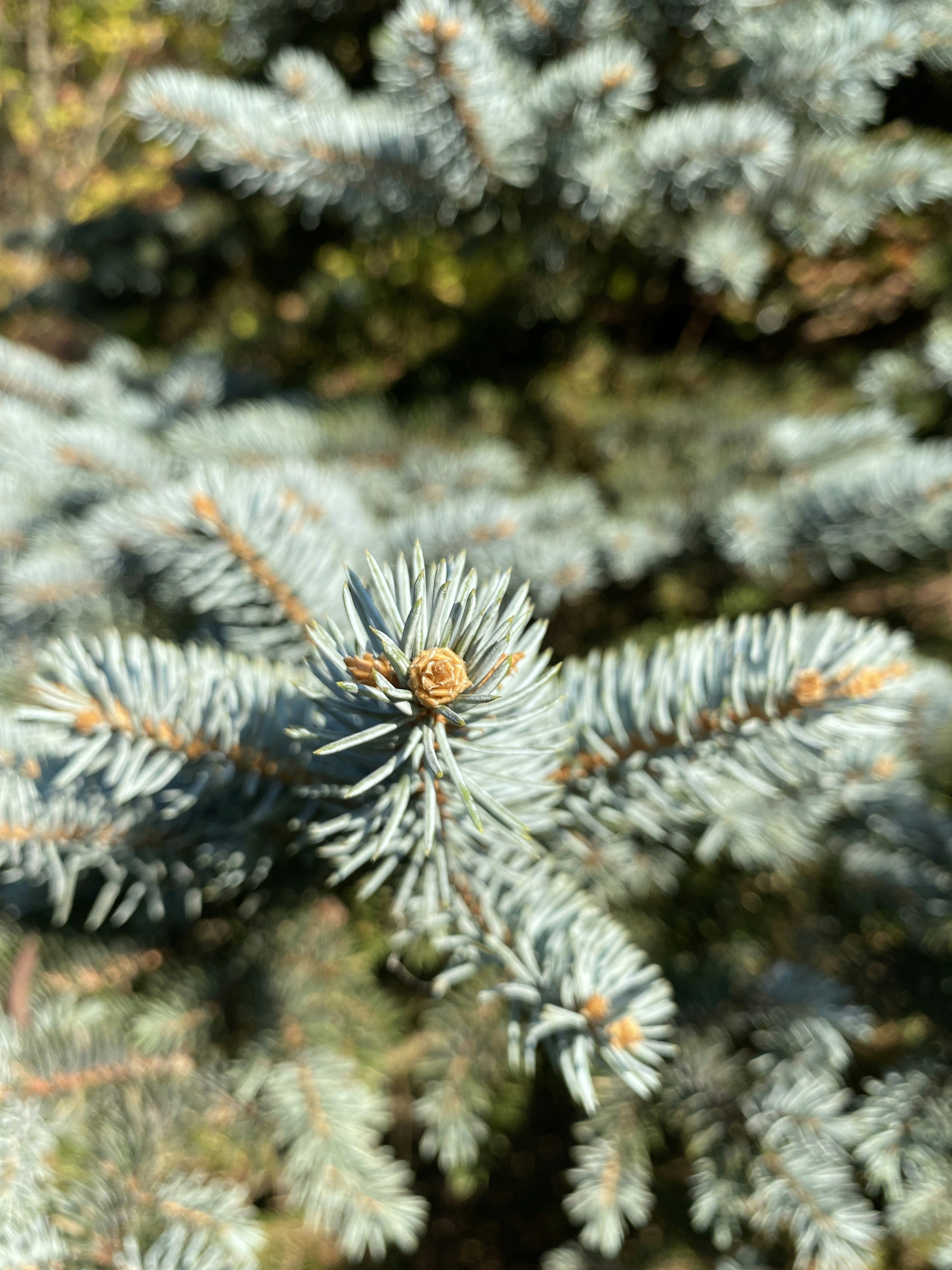 Photo by abigaileades5