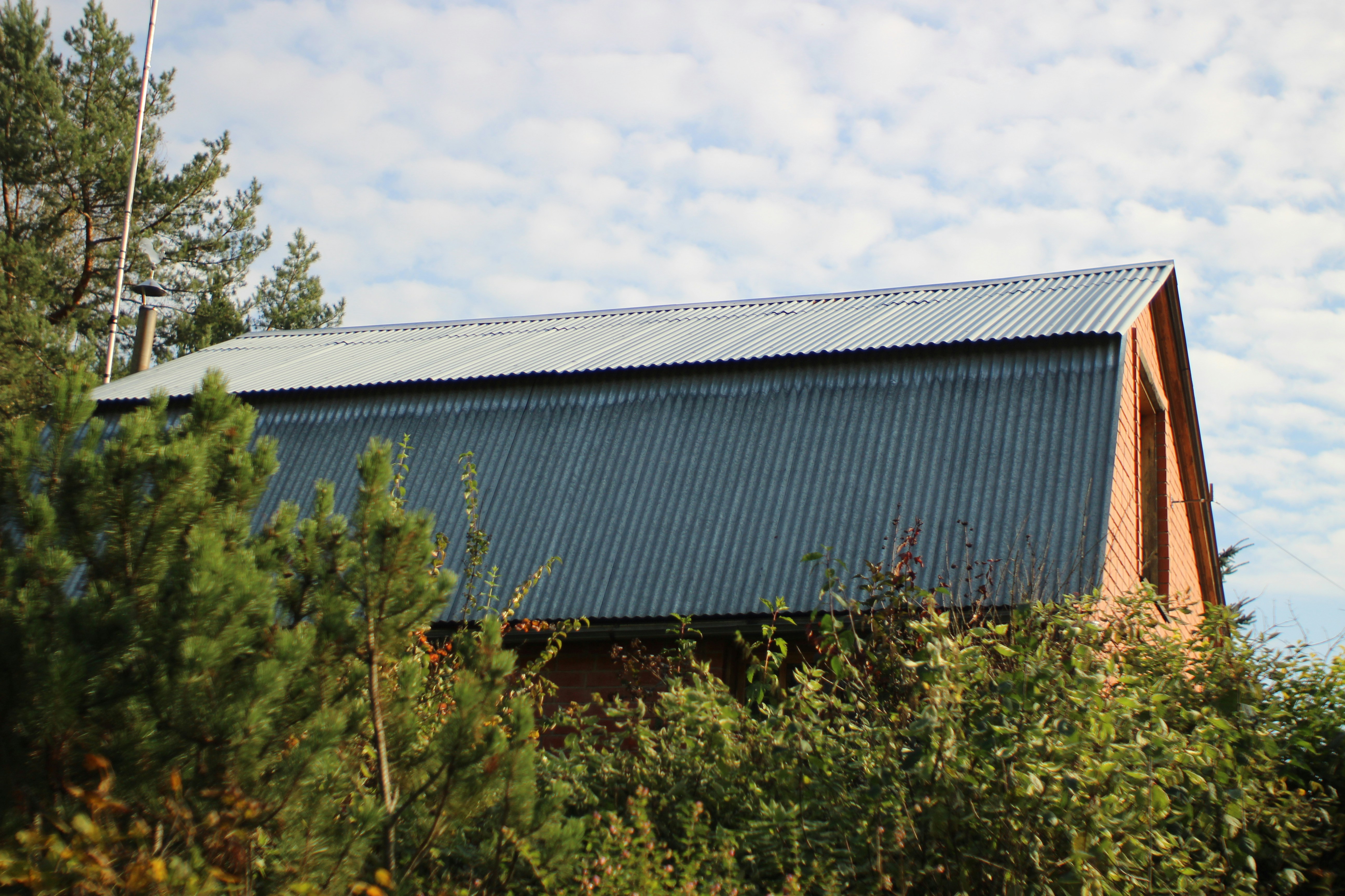 Photo by abigaileades5