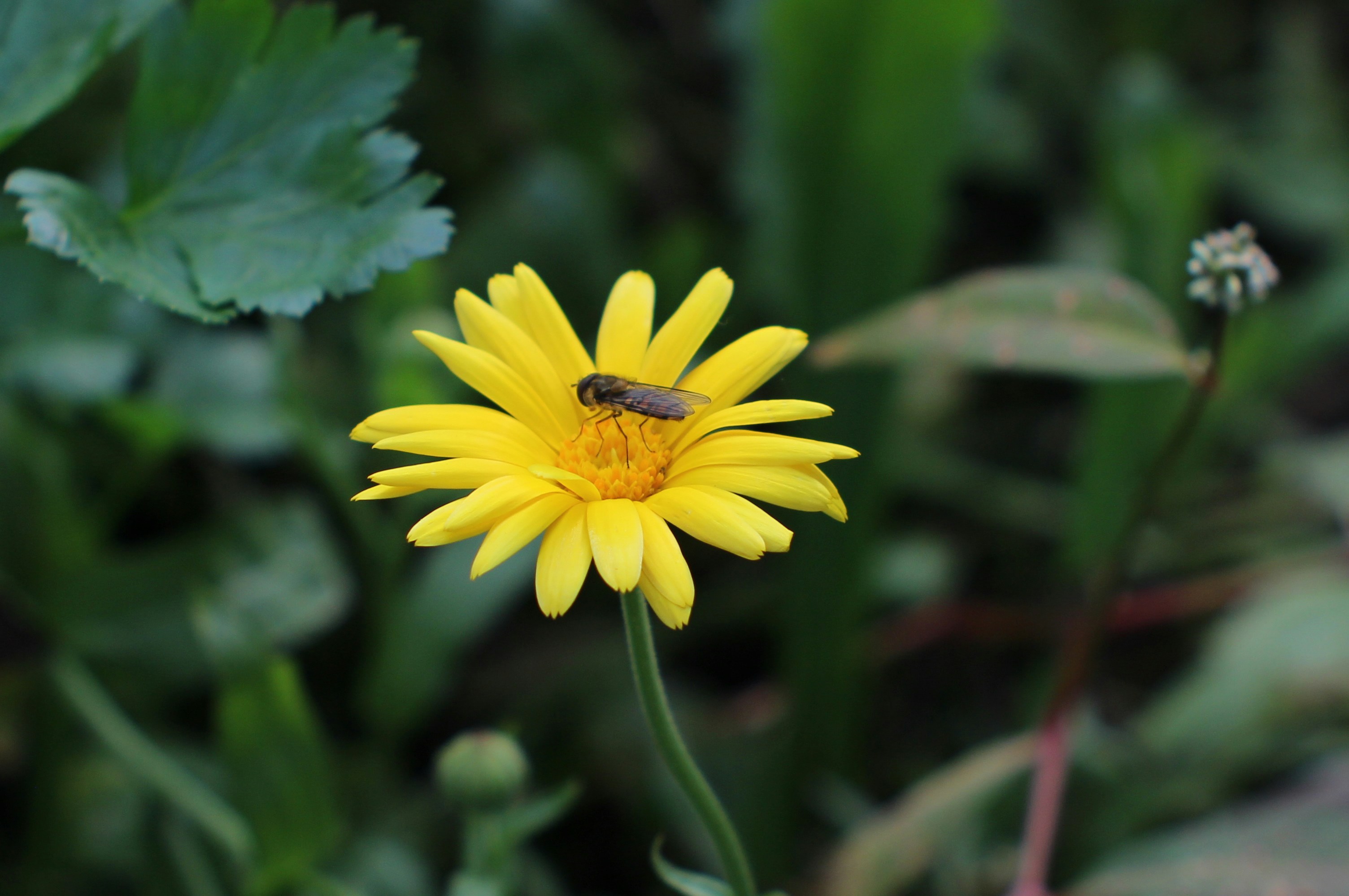 Photo by abigaileades5