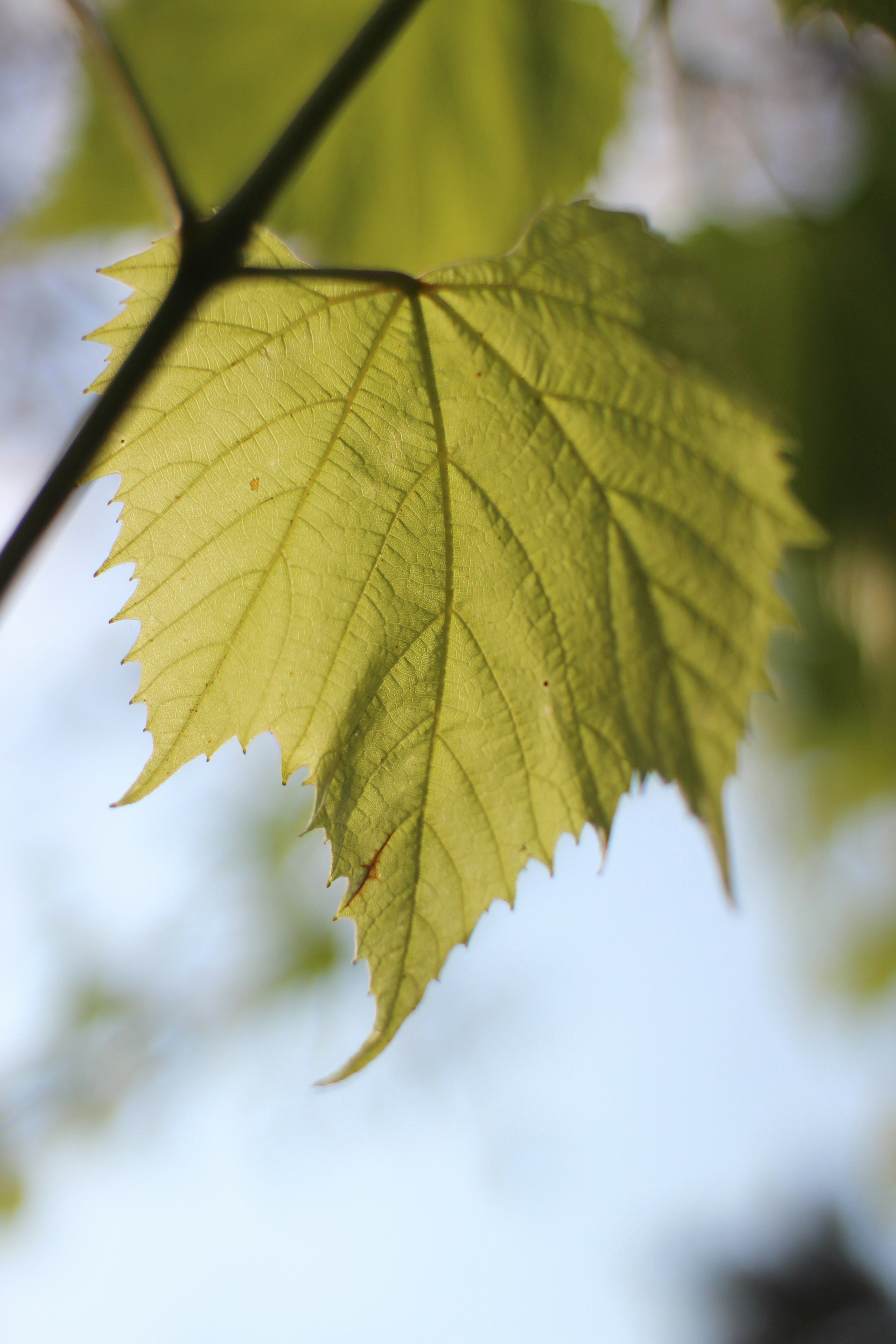 Photo by abigaileades5