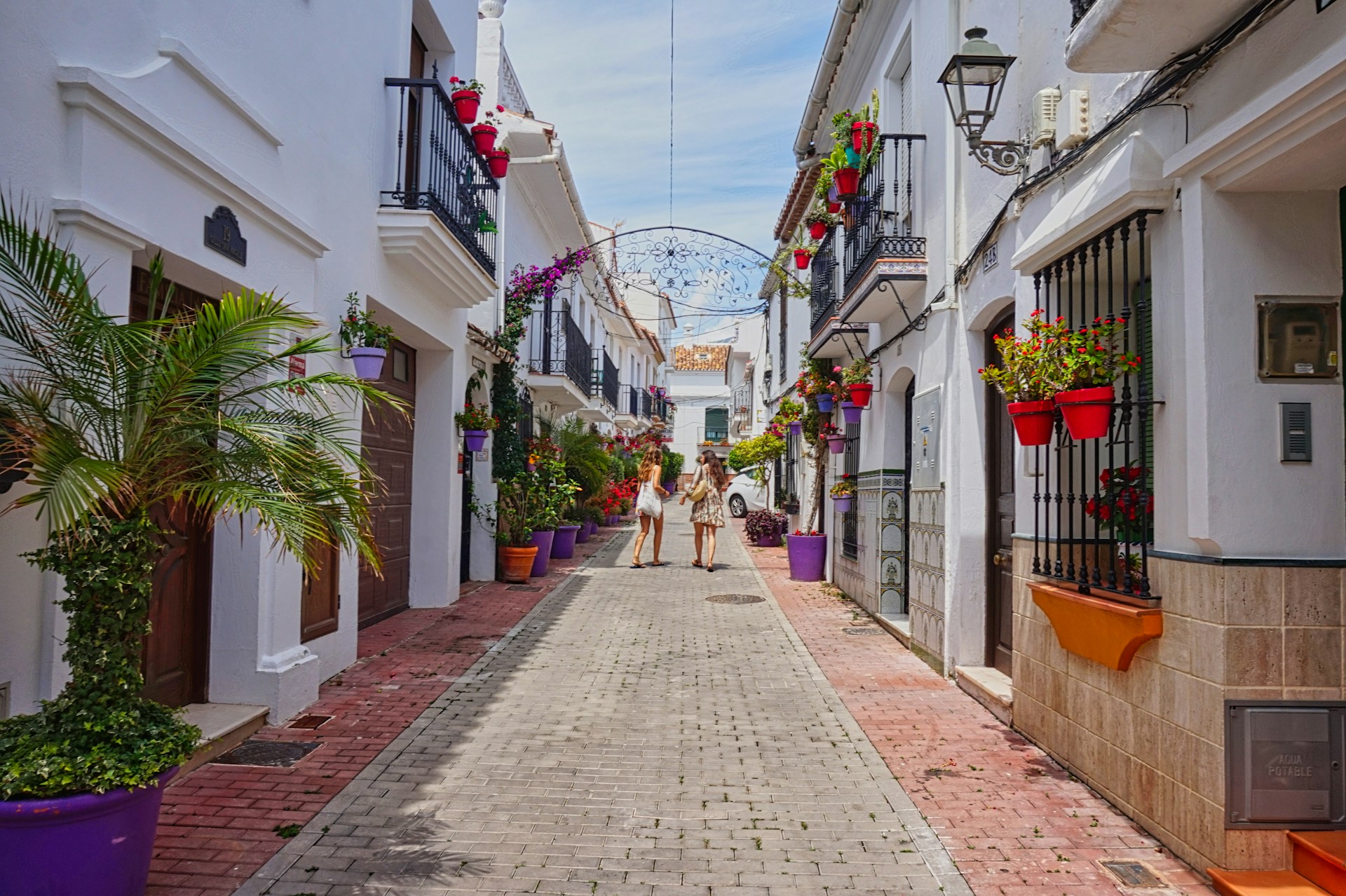 A narrow street lined with white buildings and potted plants