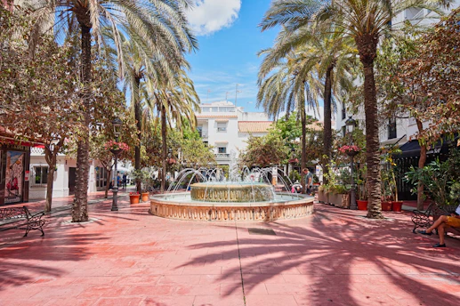 A fountain surrounded by palm trees in a plaza
