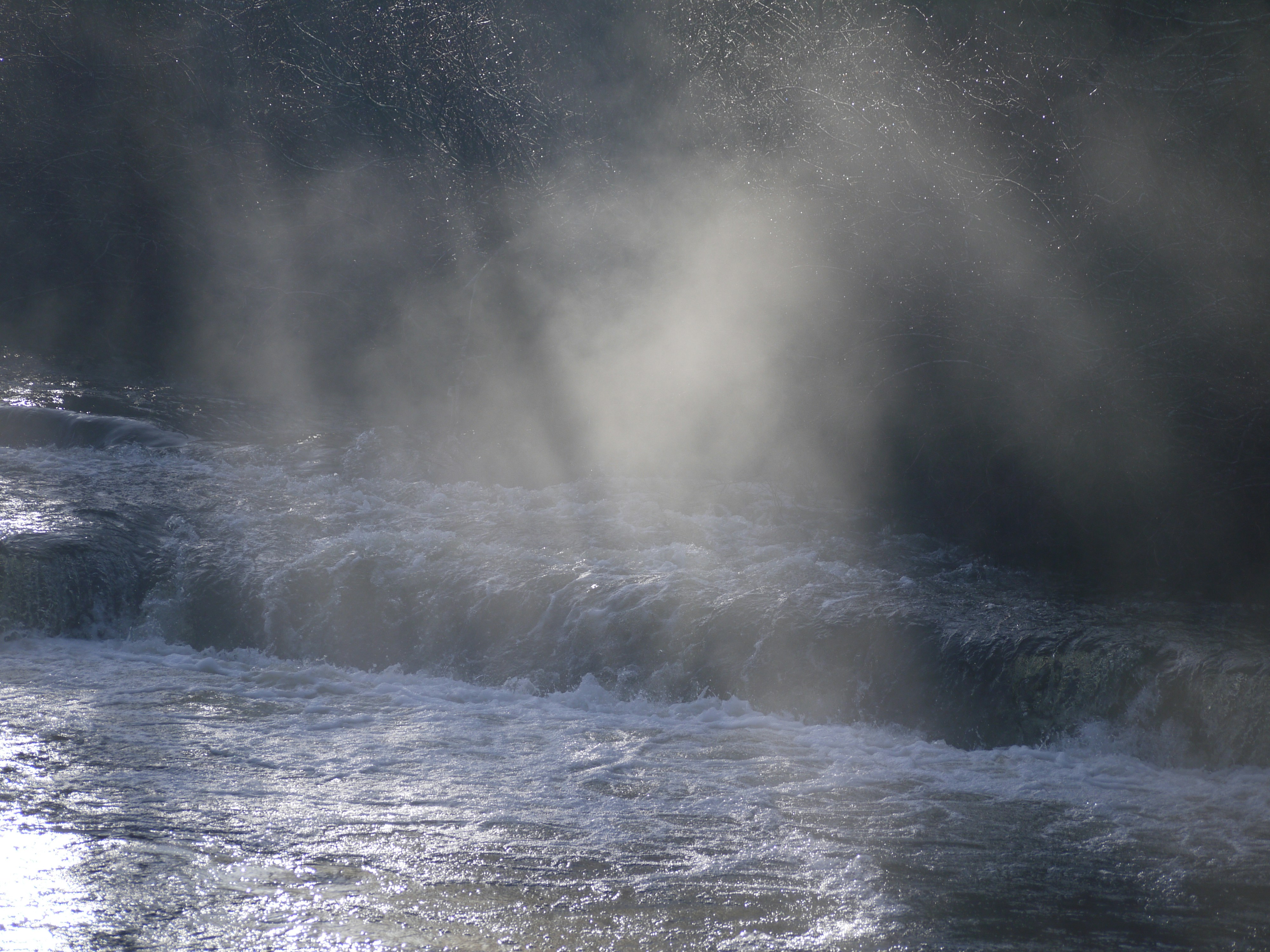 A stream of water running through a forest