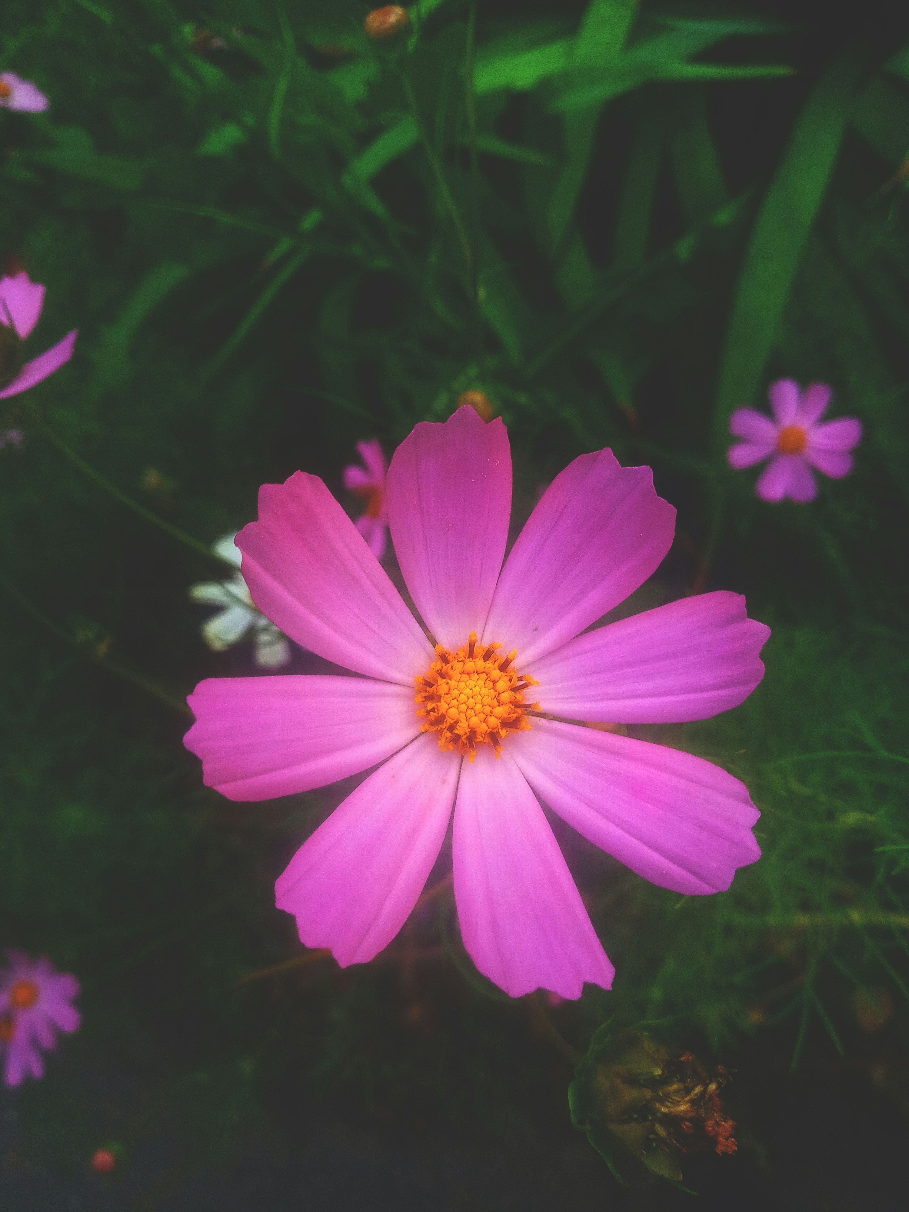 Photo by dmitry_burdakov