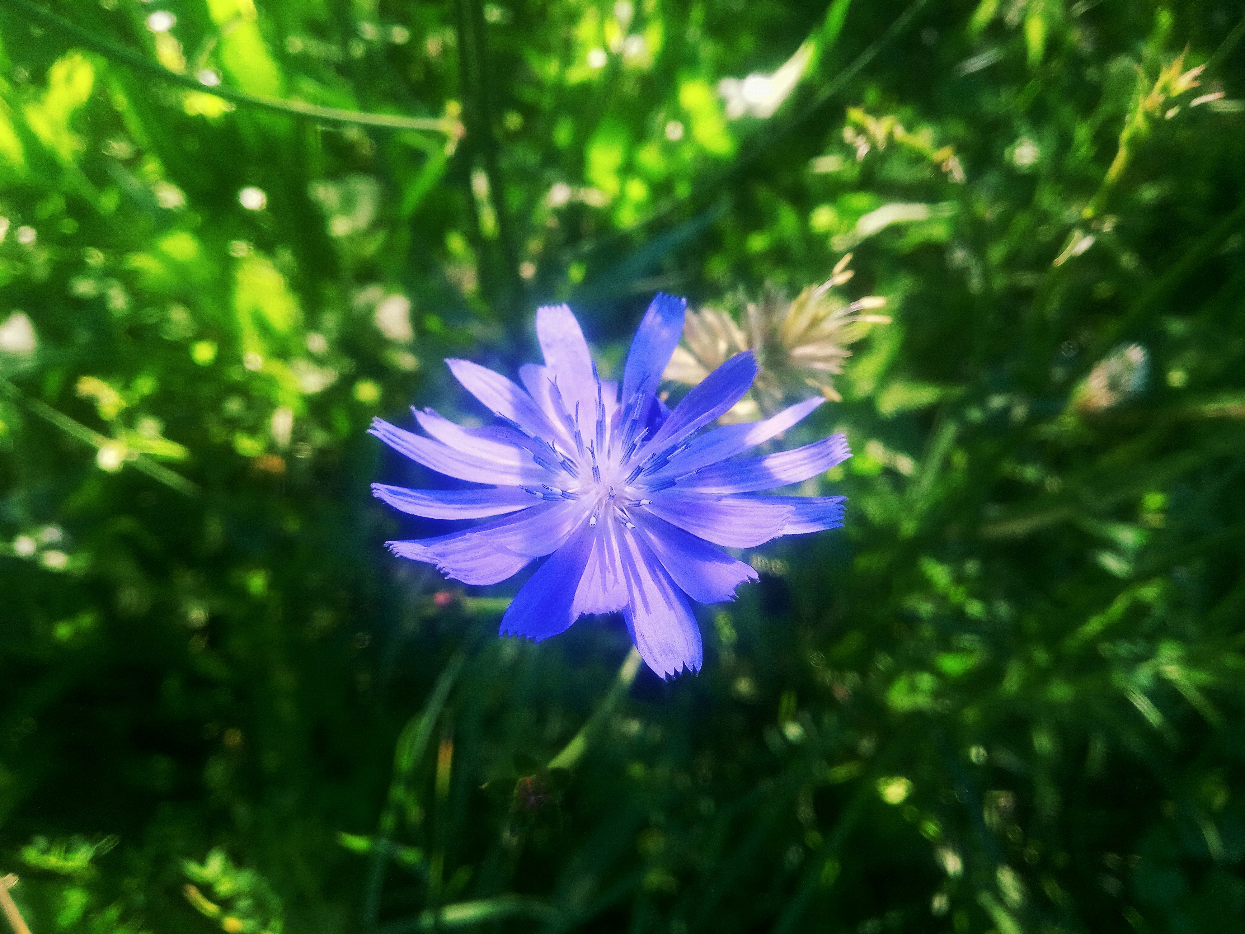 Photo by dmitry_burdakov