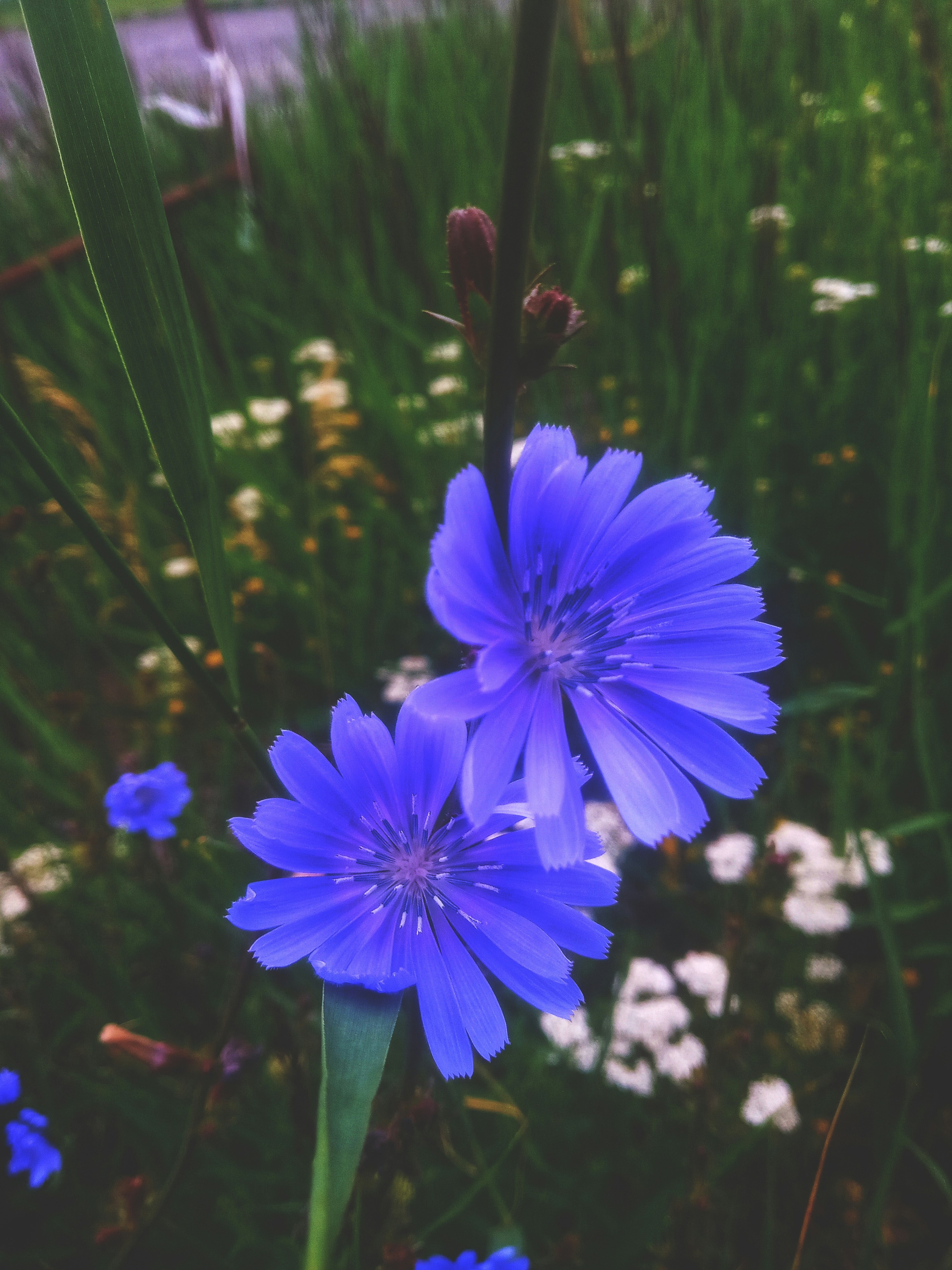 Photo by dmitry_burdakov