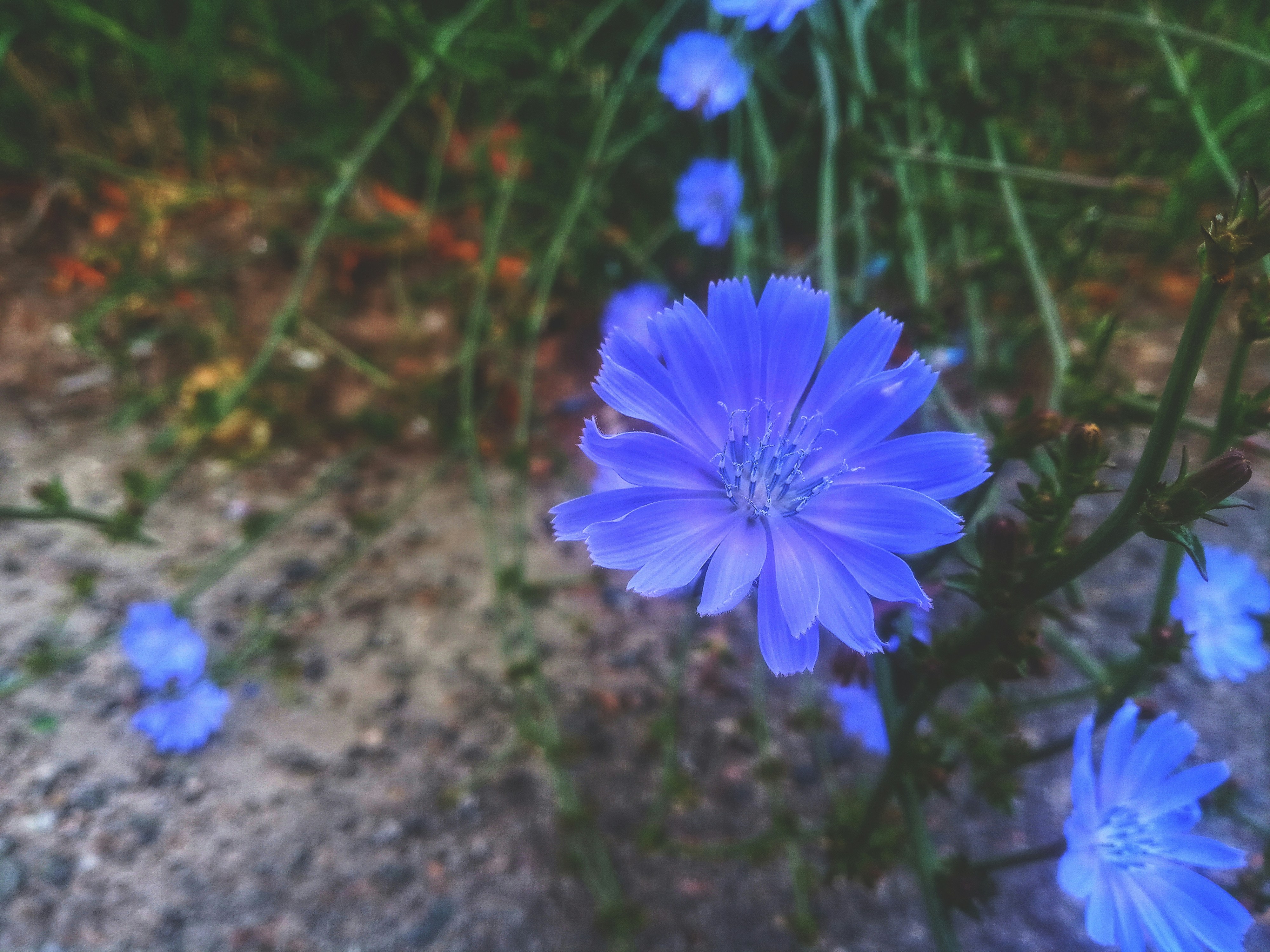 Photo by dmitry_burdakov