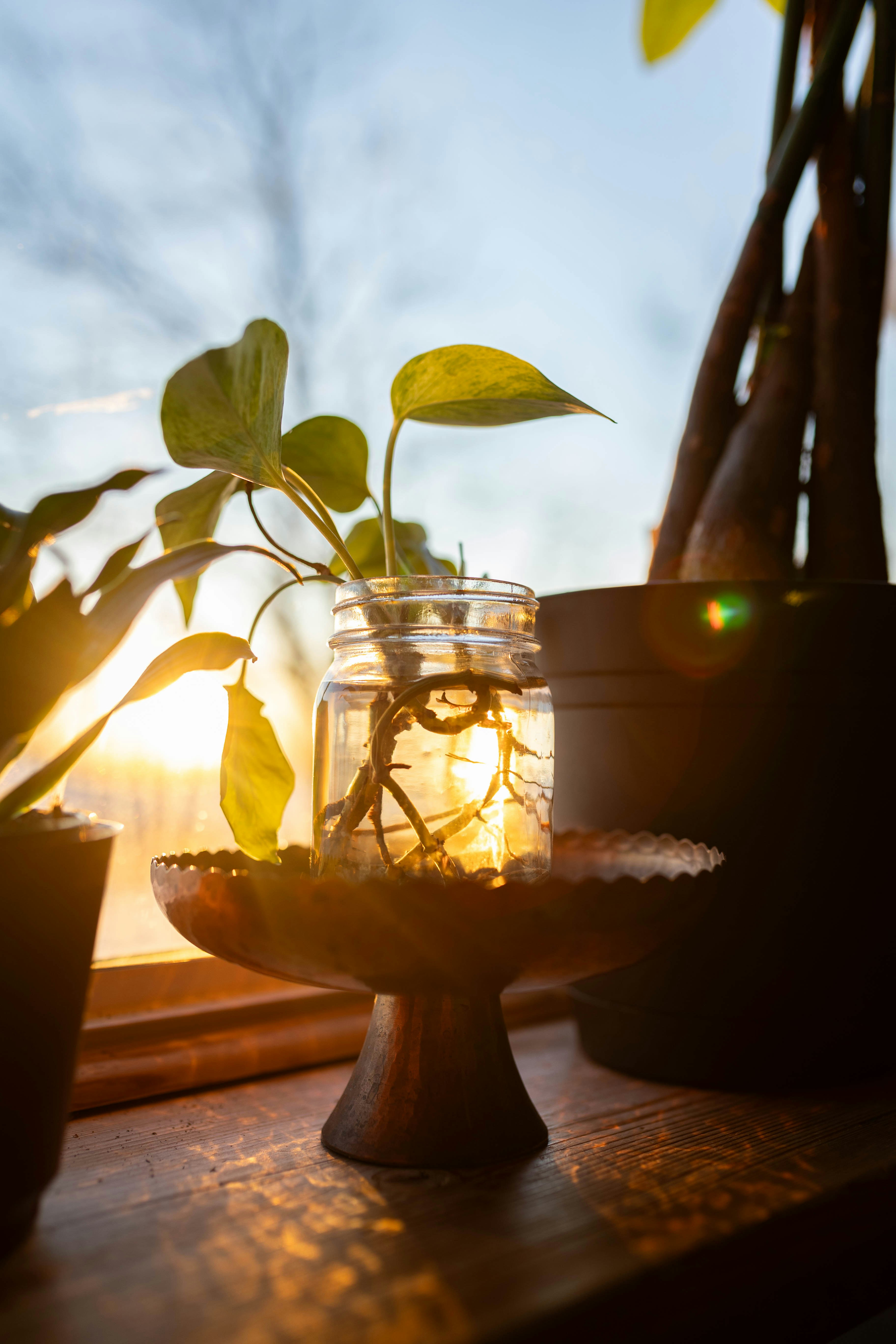 Photo by ohlmanphotography