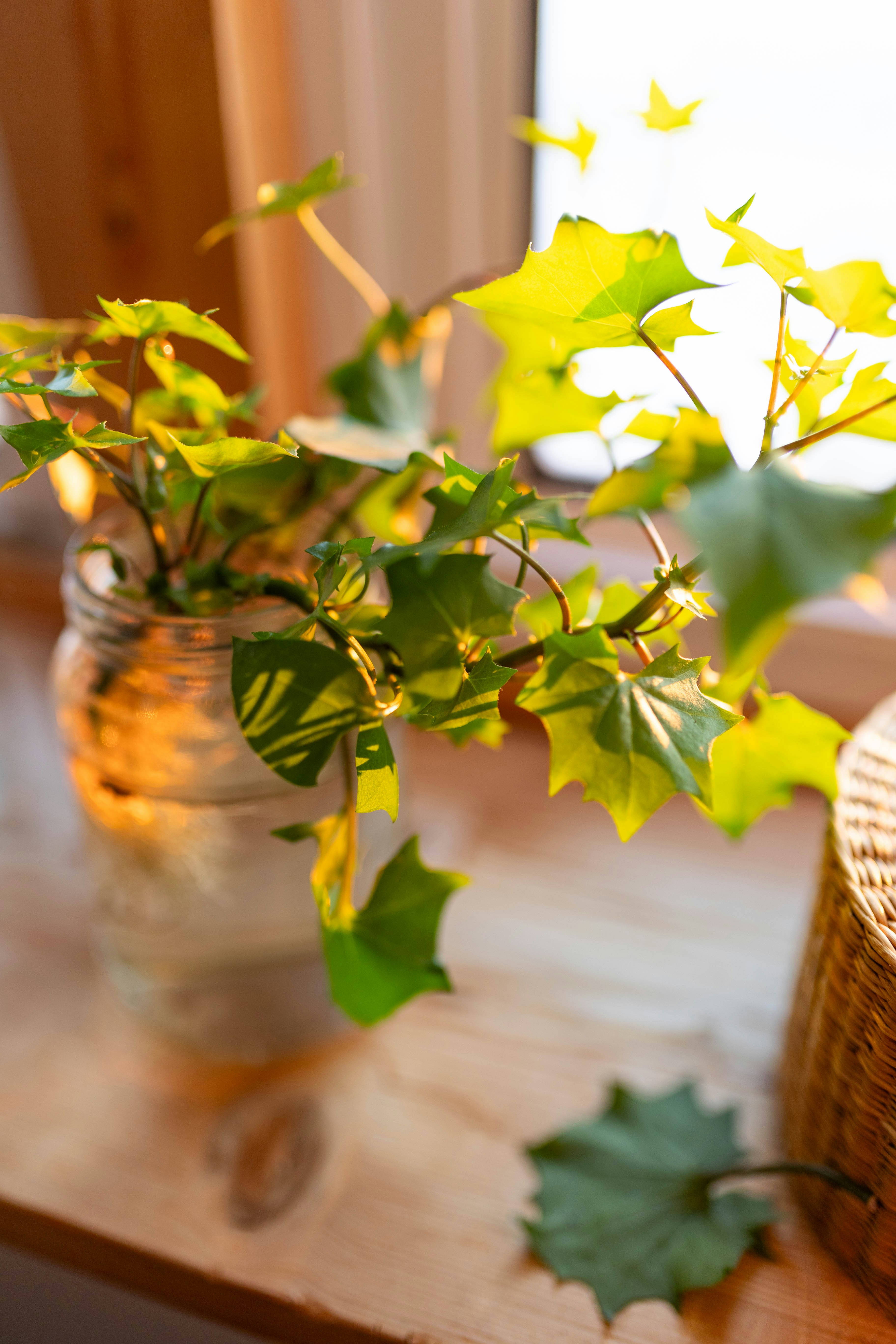 Photo by ohlmanphotography