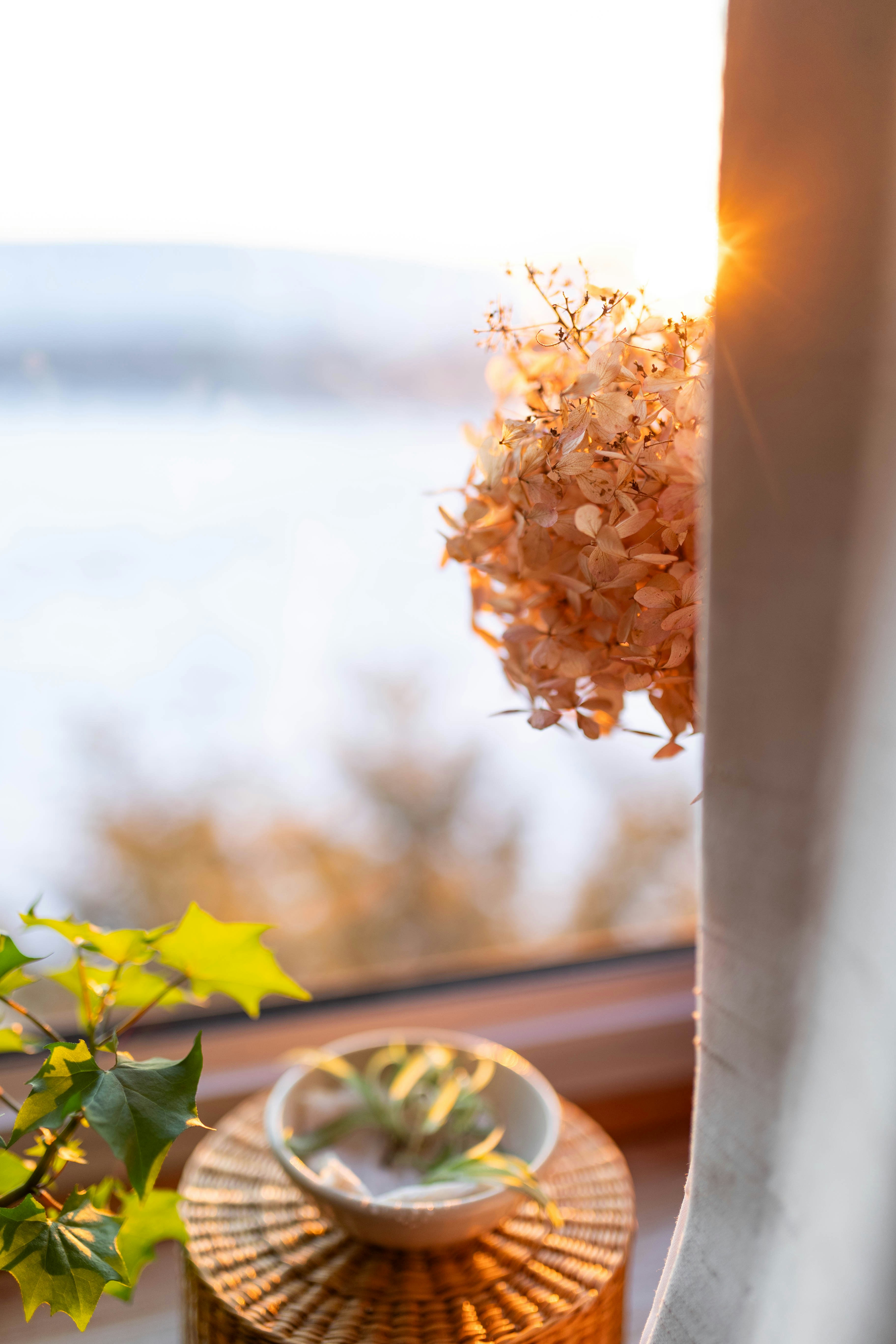 A vase of flowers sitting on a window sill